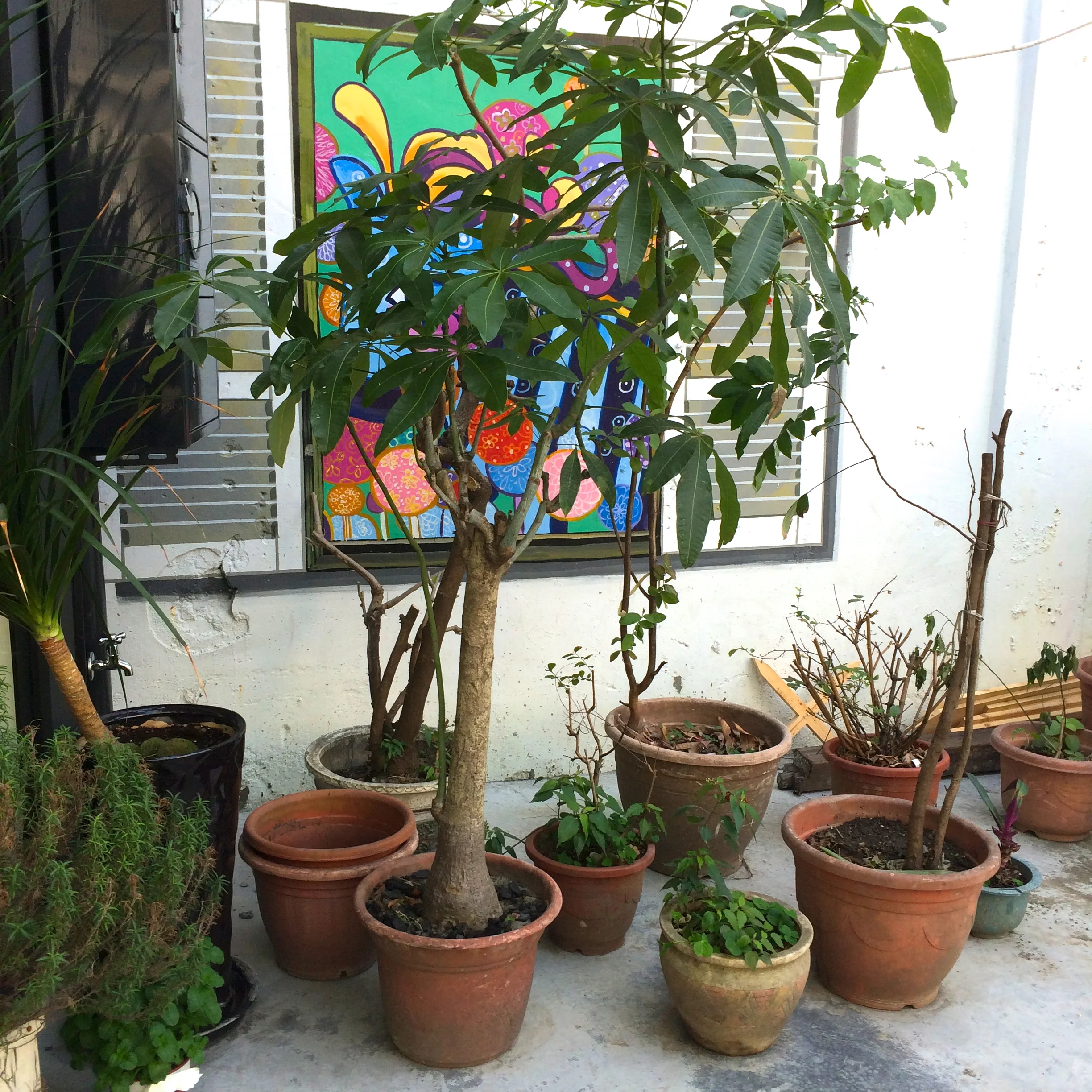 fantasystory-bookstore-plants