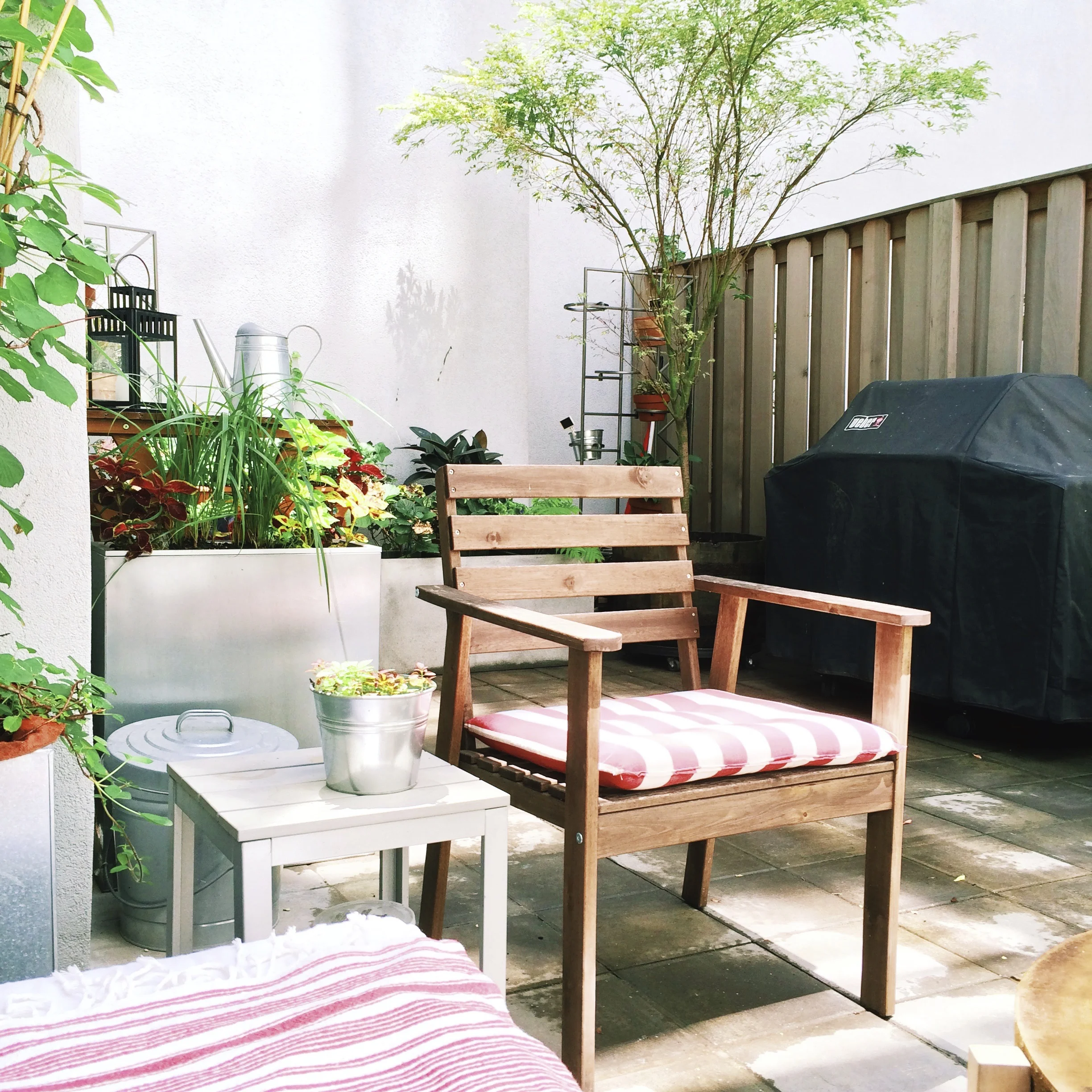 yard @ carroll street