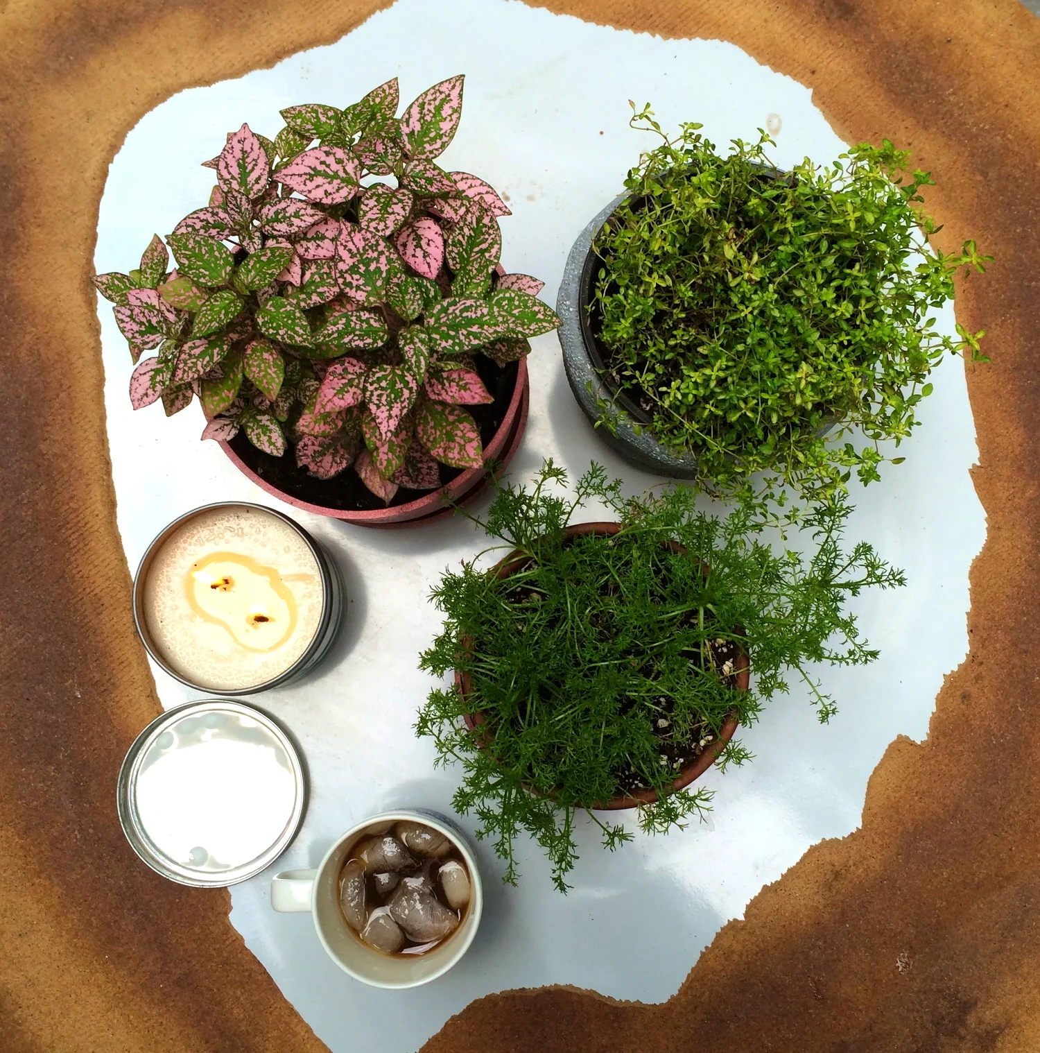 outdoor tablescape