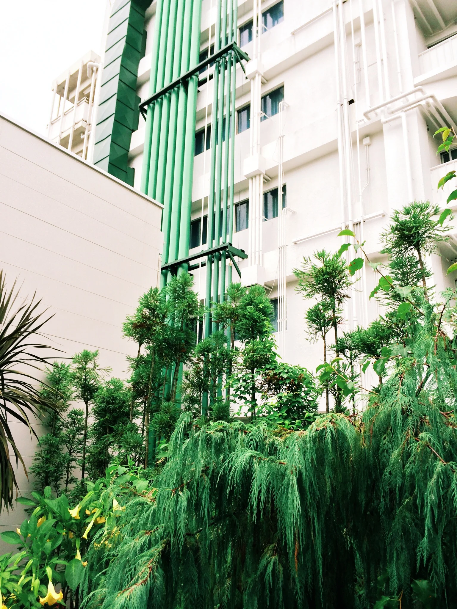 yoyogi village, tokyo