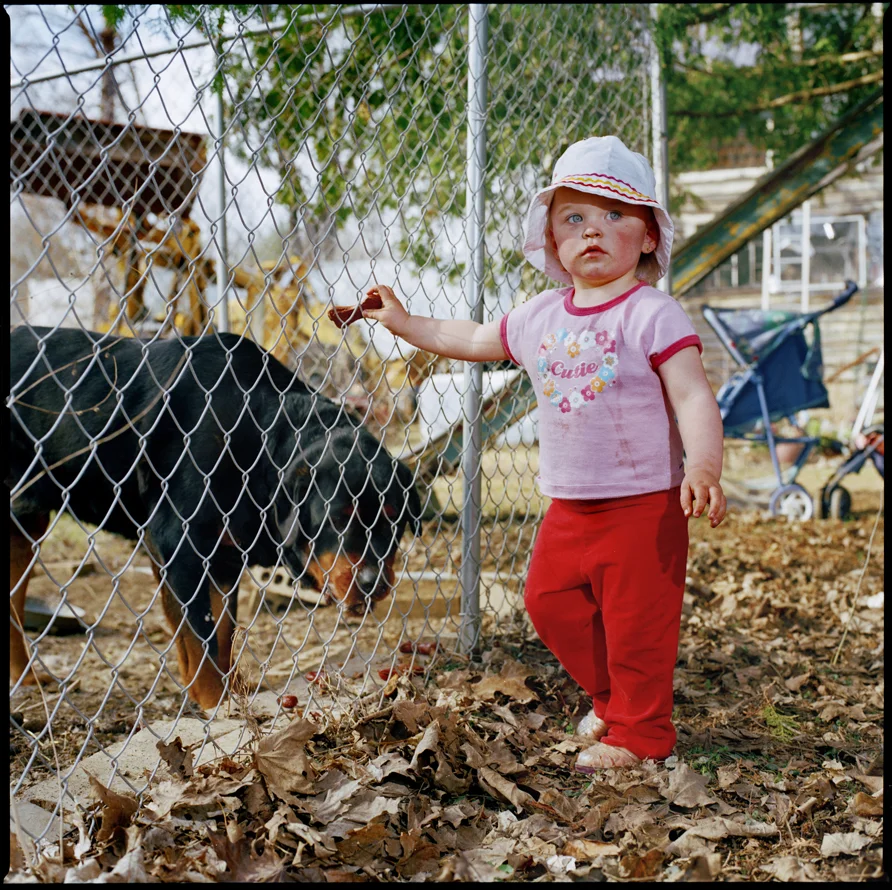 Beware of the dogs UltraChrome print c.2003