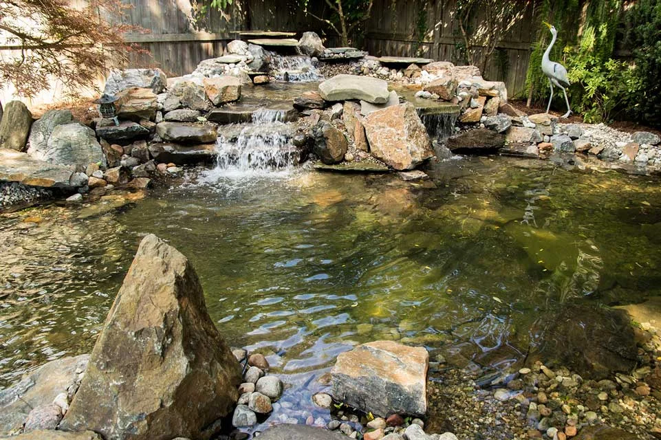 Large Pond Rebuild