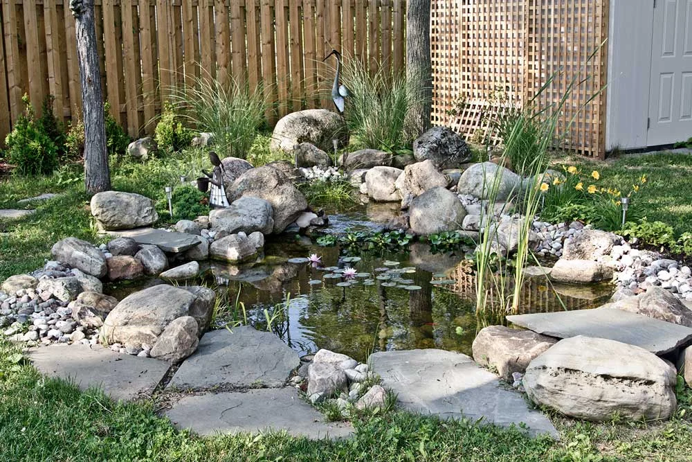 Koi Pond
