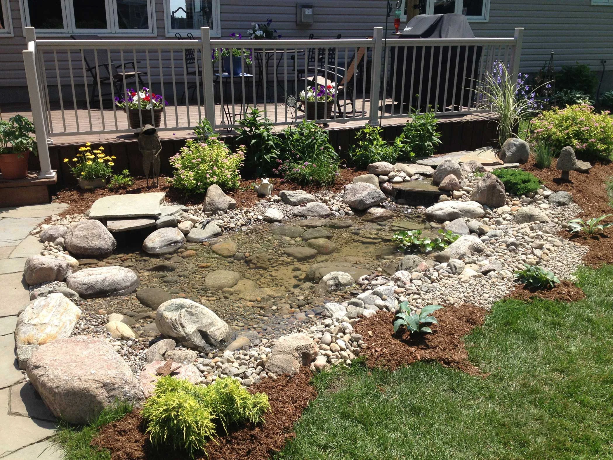 Small Koi Pond