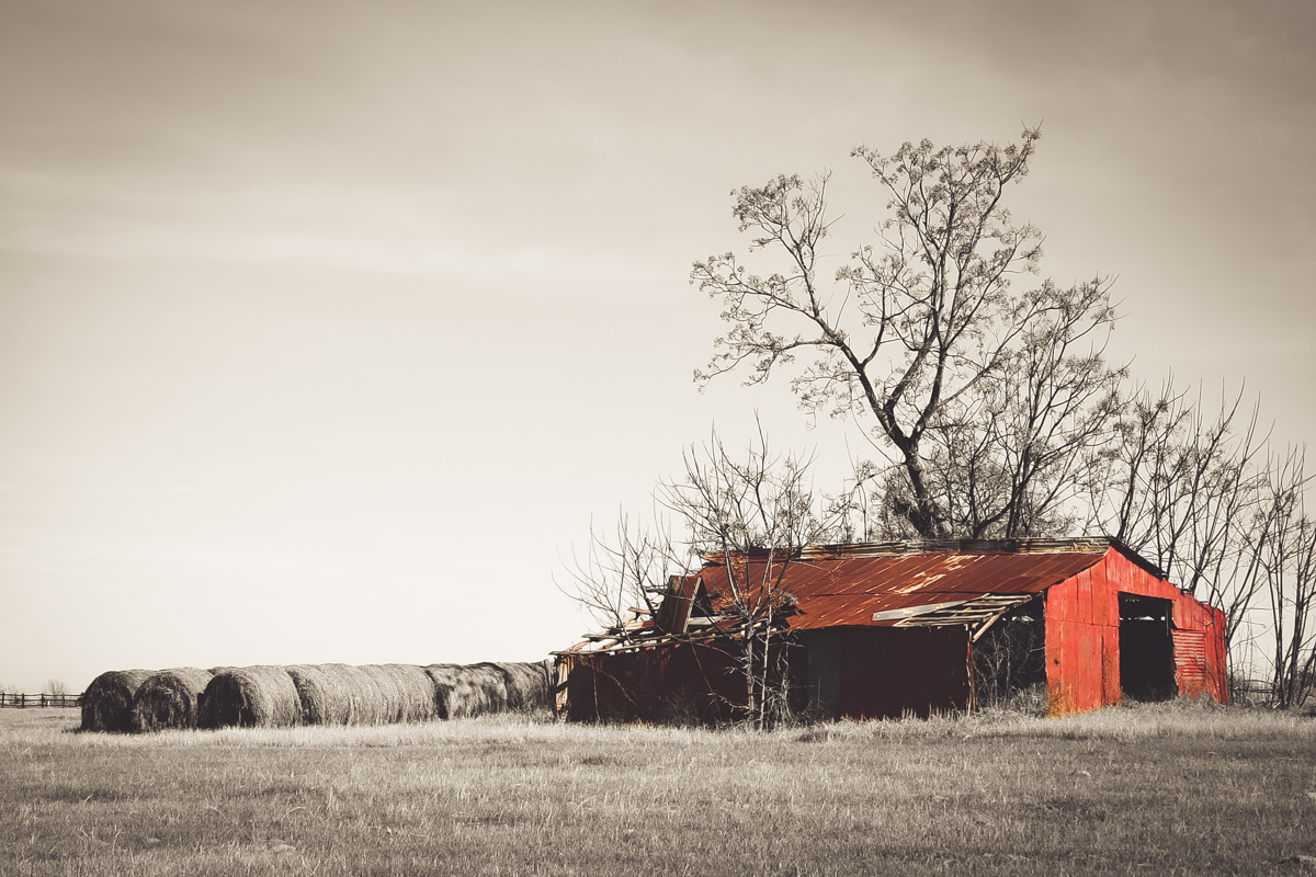 red barn-2.jpg