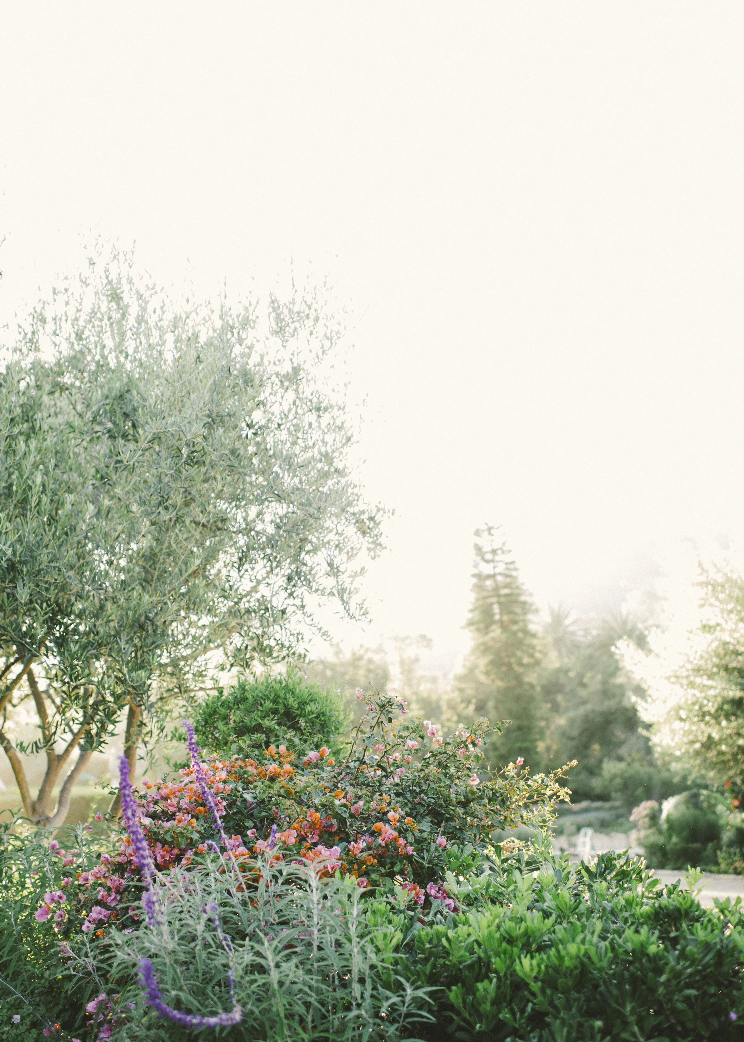 SanYsidroRanchWedding_SantaBarbaraWedding_EventoftheSeason_EmilyBlakePhotography (15).jpg