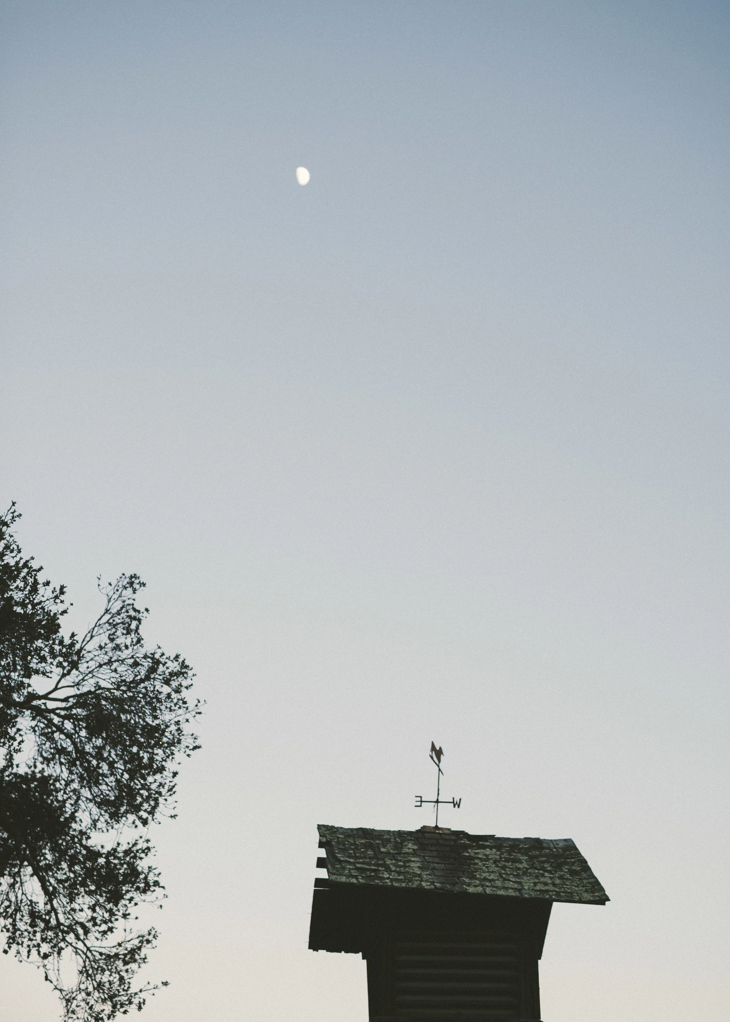 SanYsidroRanchWedding_SantaBarbaraWedding_EventoftheSeason_EmilyBlakePhotography (13).jpg
