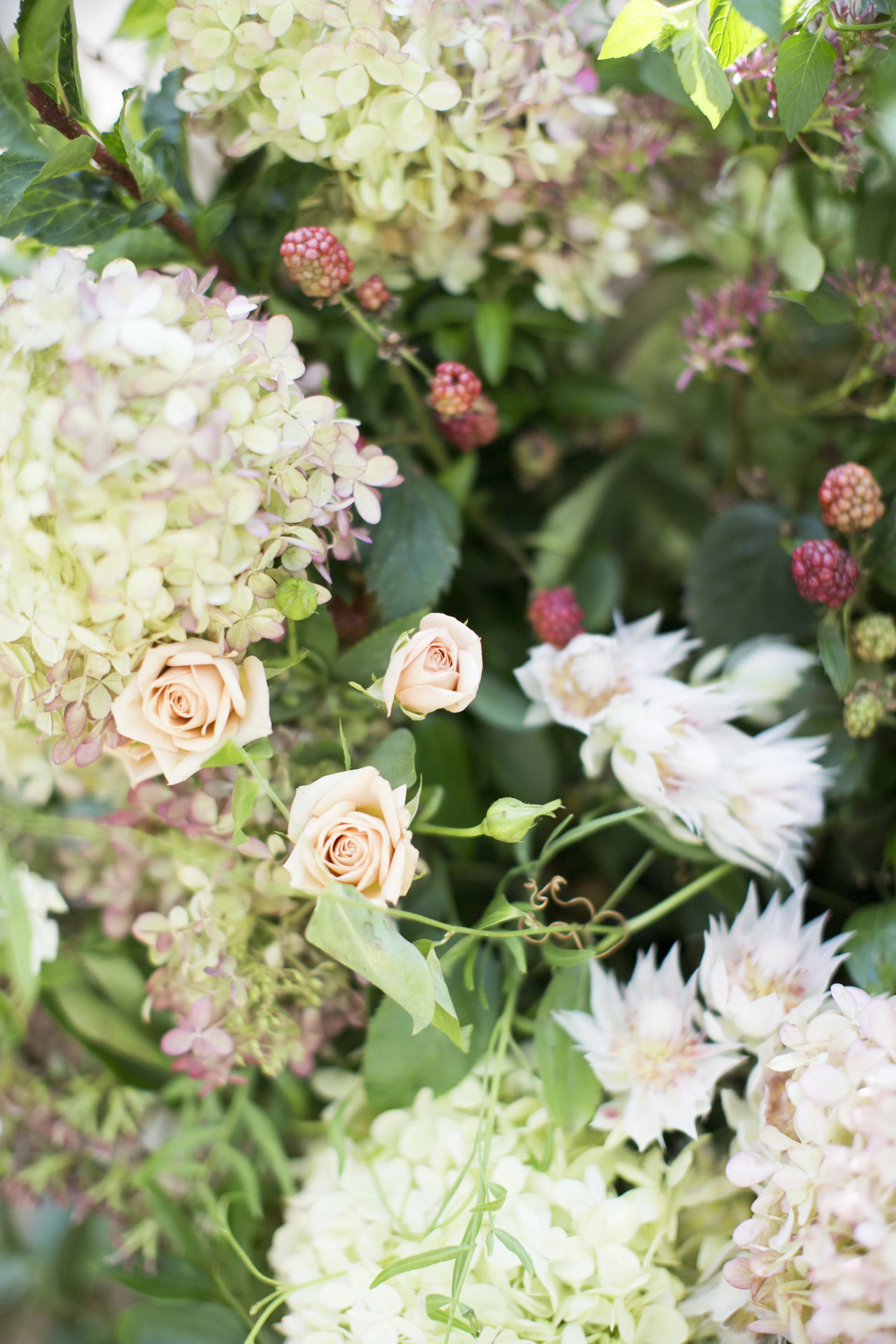 EmmieWill_Wedding_LoveNancyNeil019.jpg