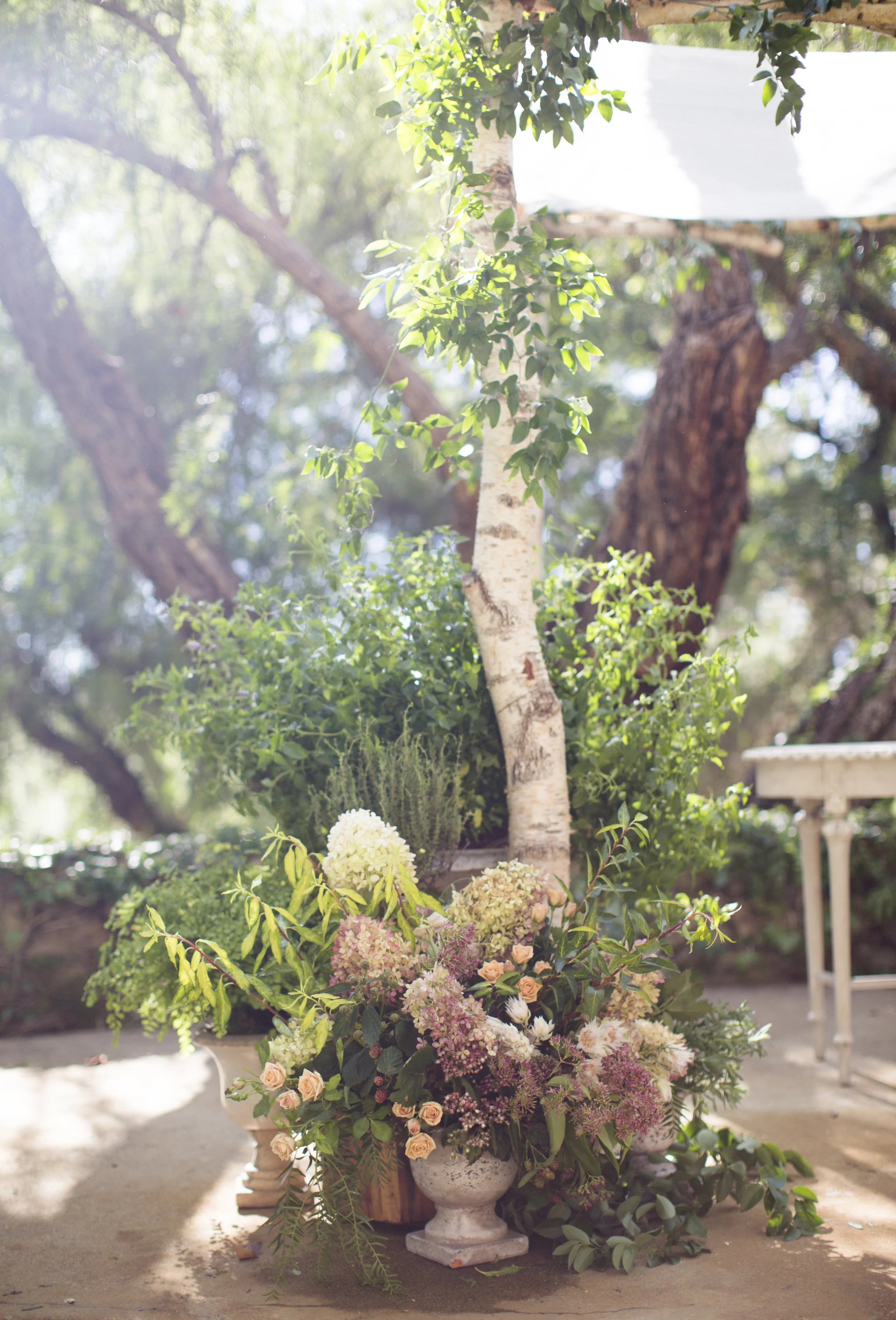 EmmieWill_Wedding_LoveNancyNeil022.jpg