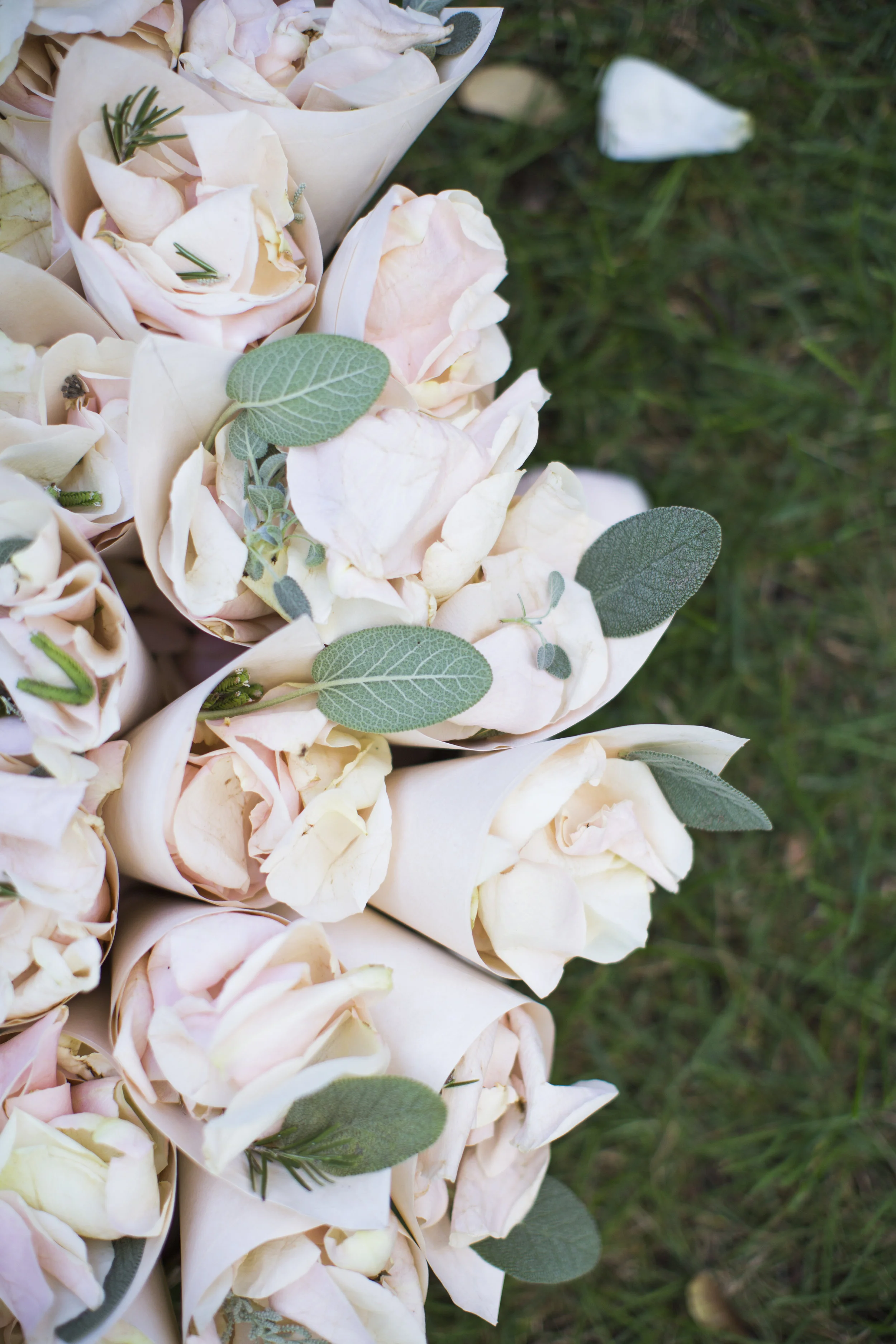 EmmieWill_Wedding_LoveNancyNeil074.jpg