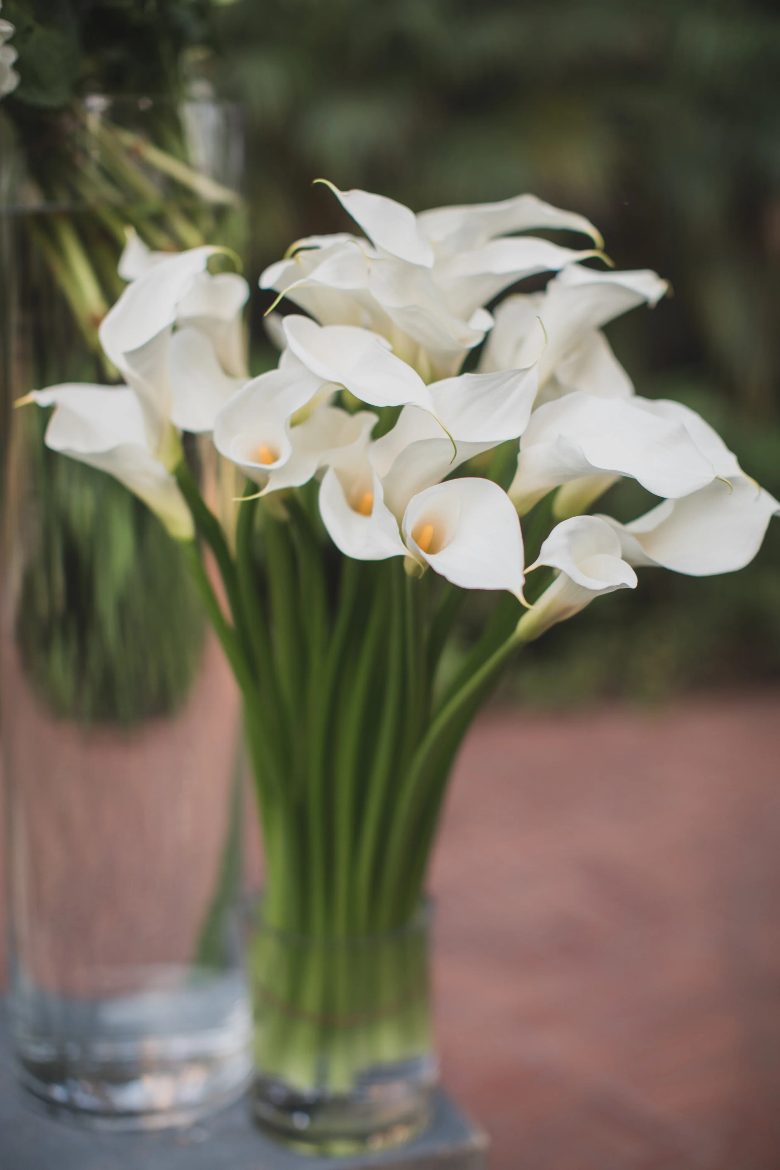 Capa&Troy-Ceremony-LilyRoPhotography-12.jpg