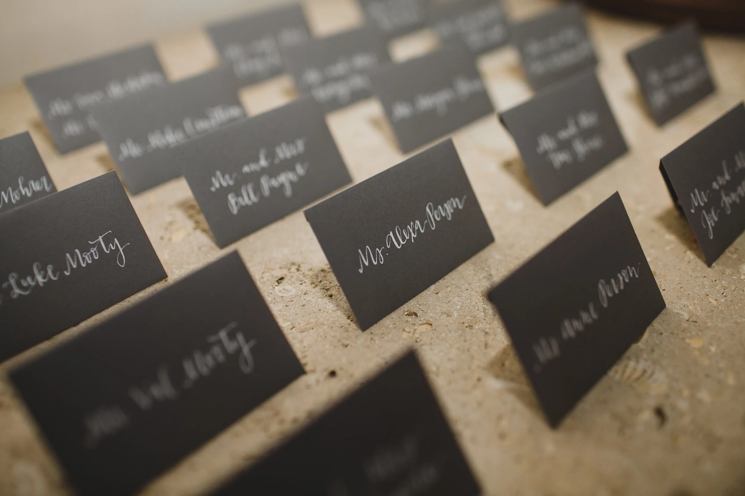 Capa&Troy-ReceptionPhotos-LilyRoPhotography-3.jpg