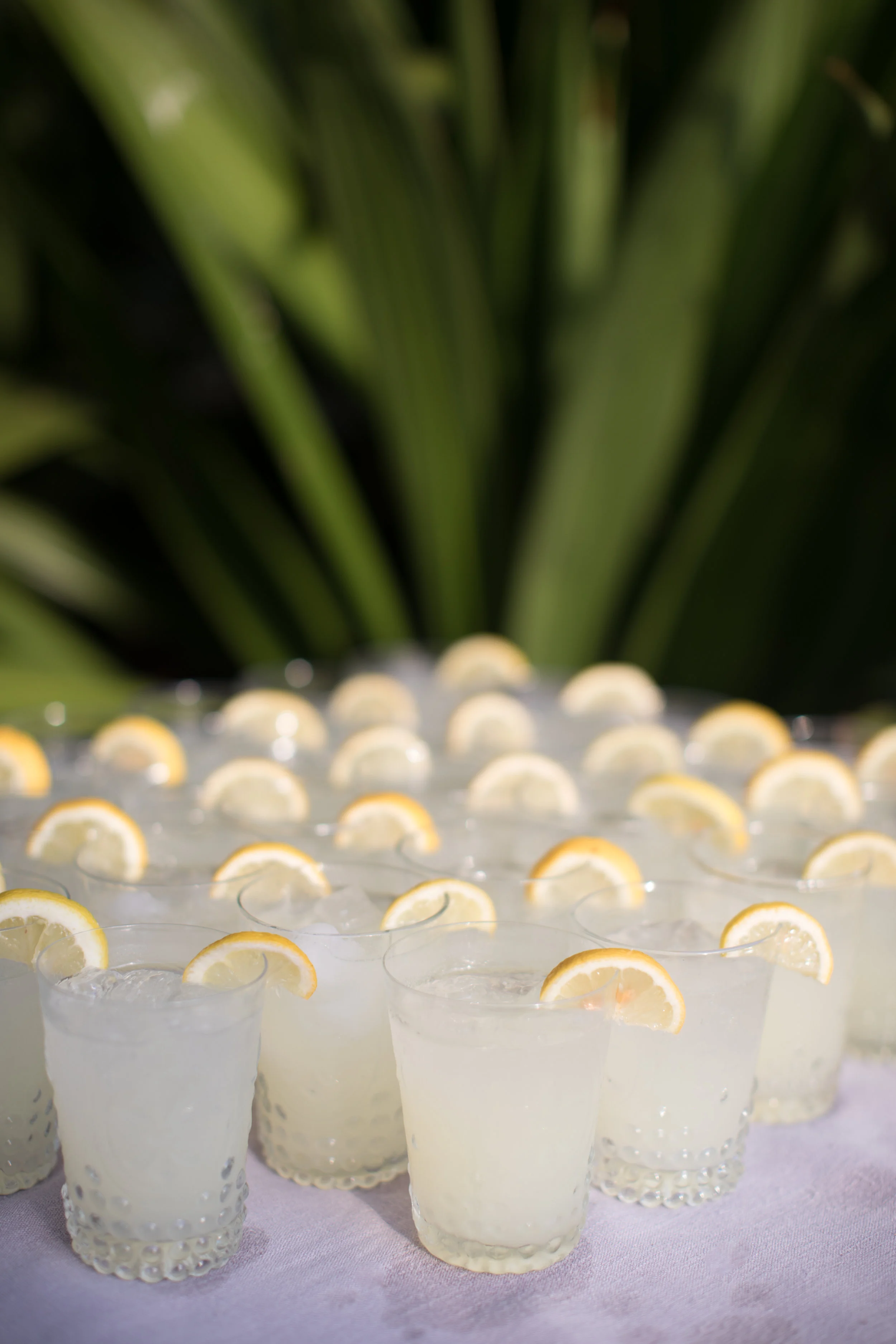 Capa&Troy-Ceremony-LilyRoPhotography-22.jpg