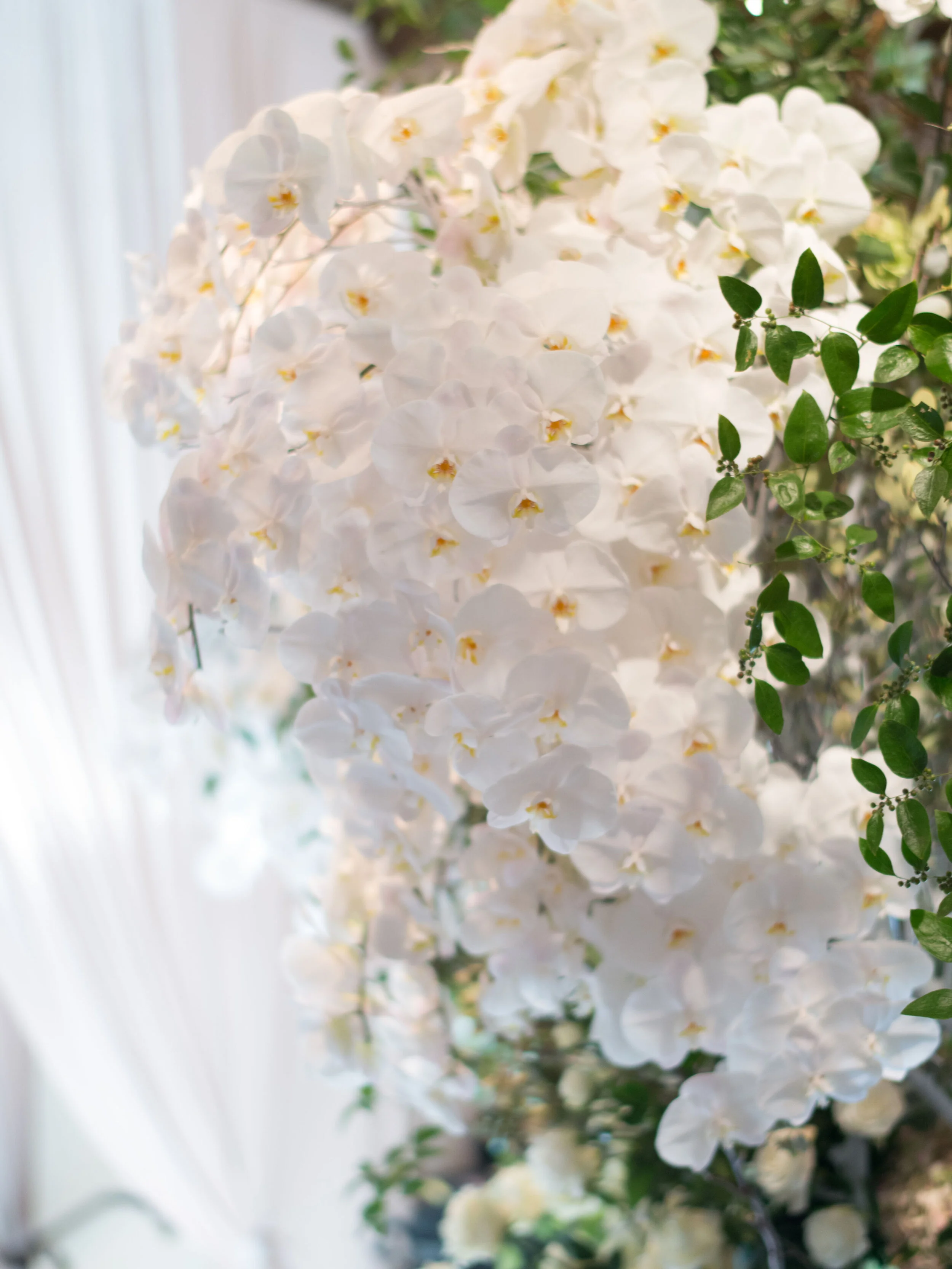 00390-Claire+GeneWedding.jpg