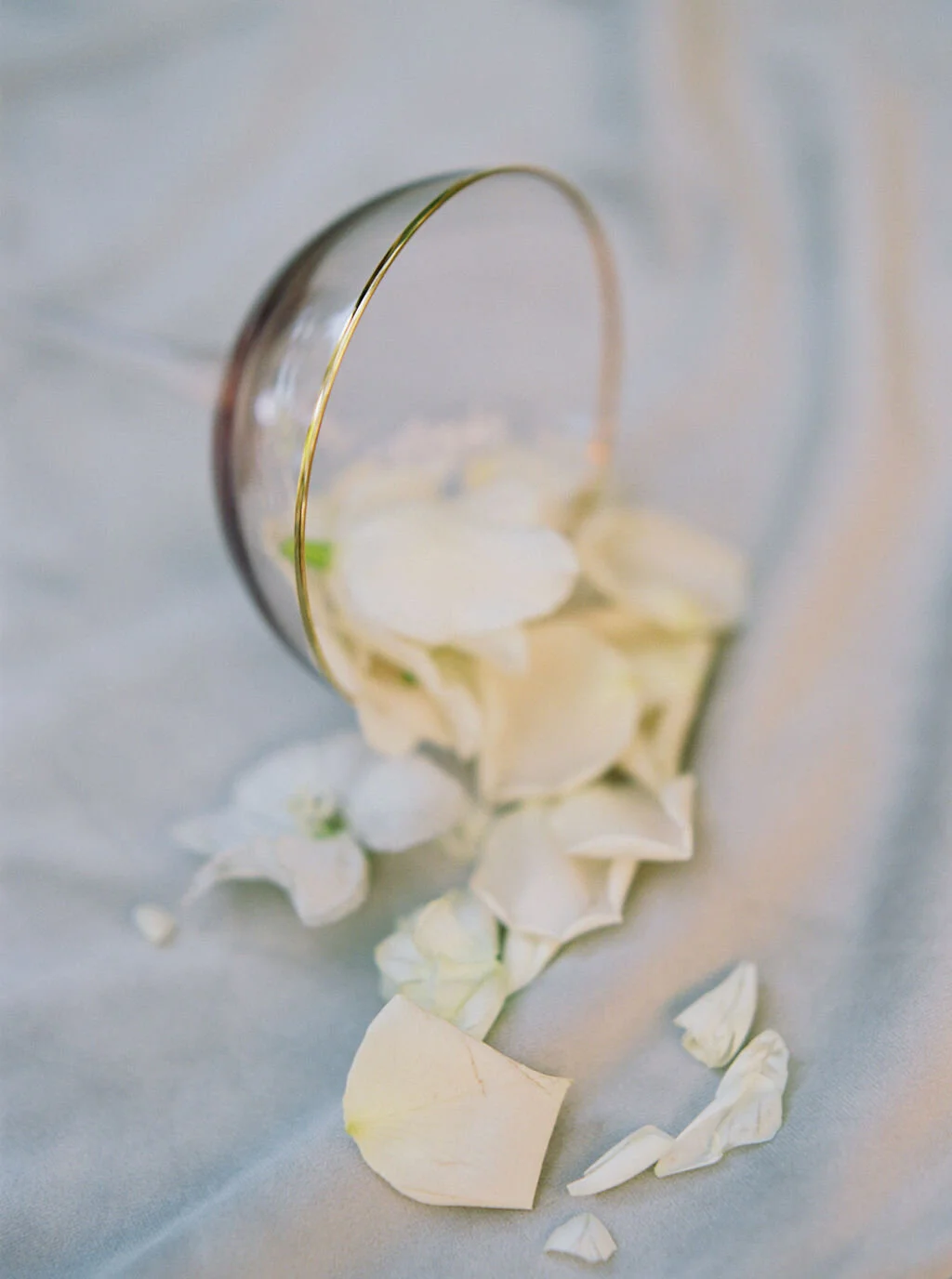 KatieGrantPhotography(429of546).jpg