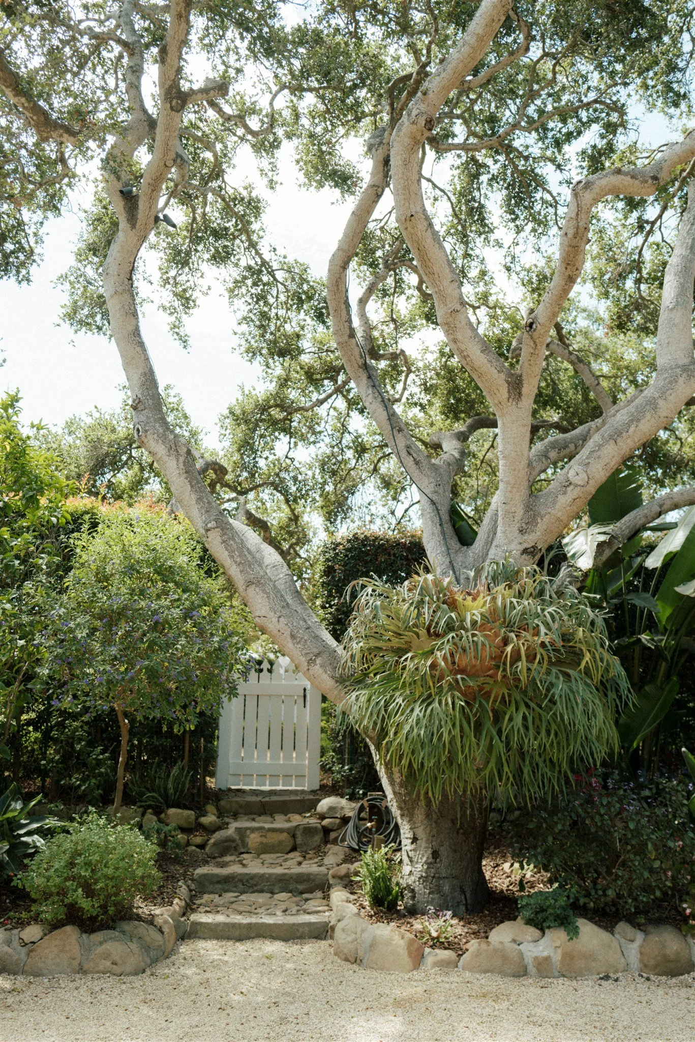 A&S 0115.jpg