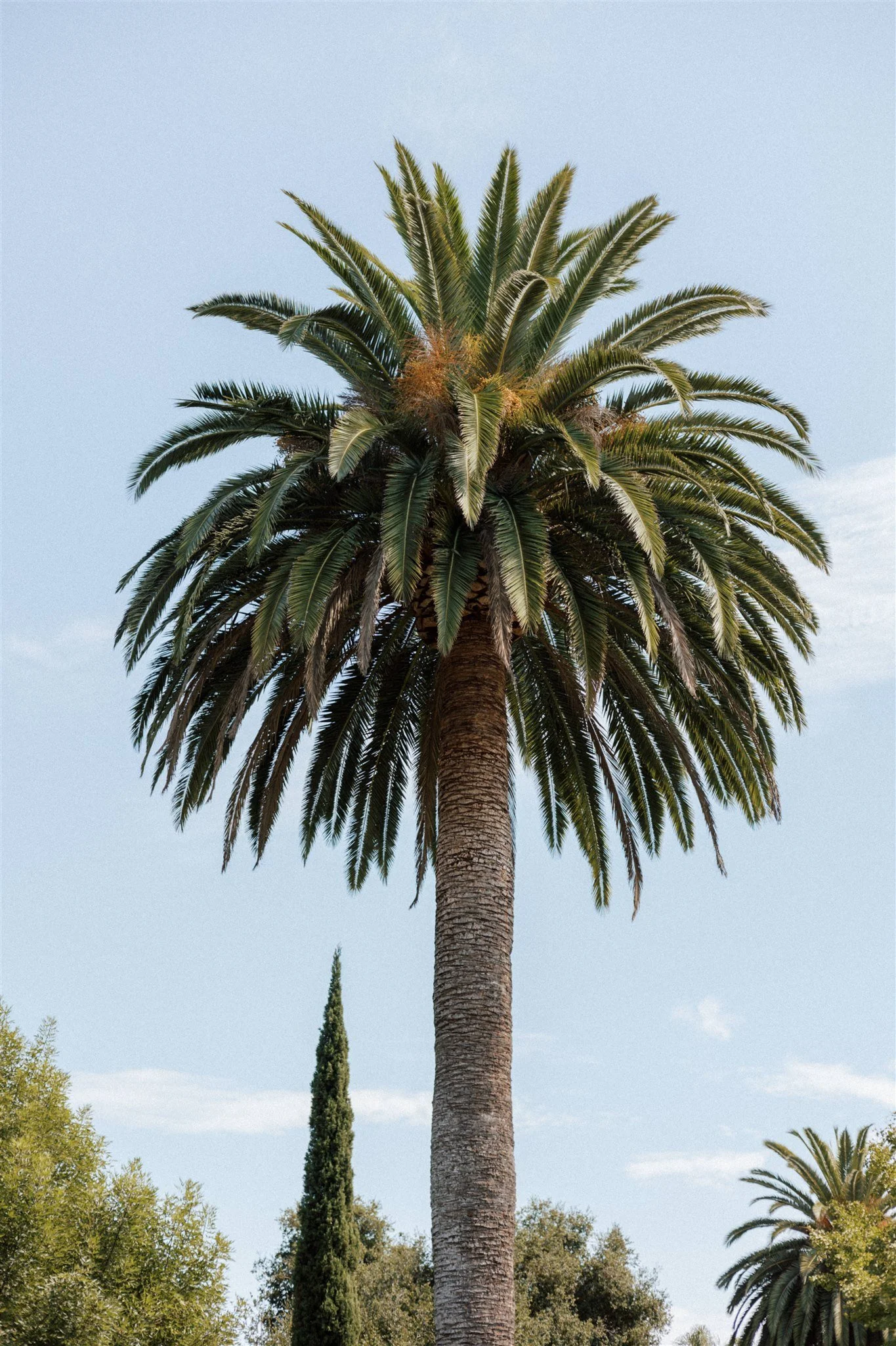 A&S 0174.jpg