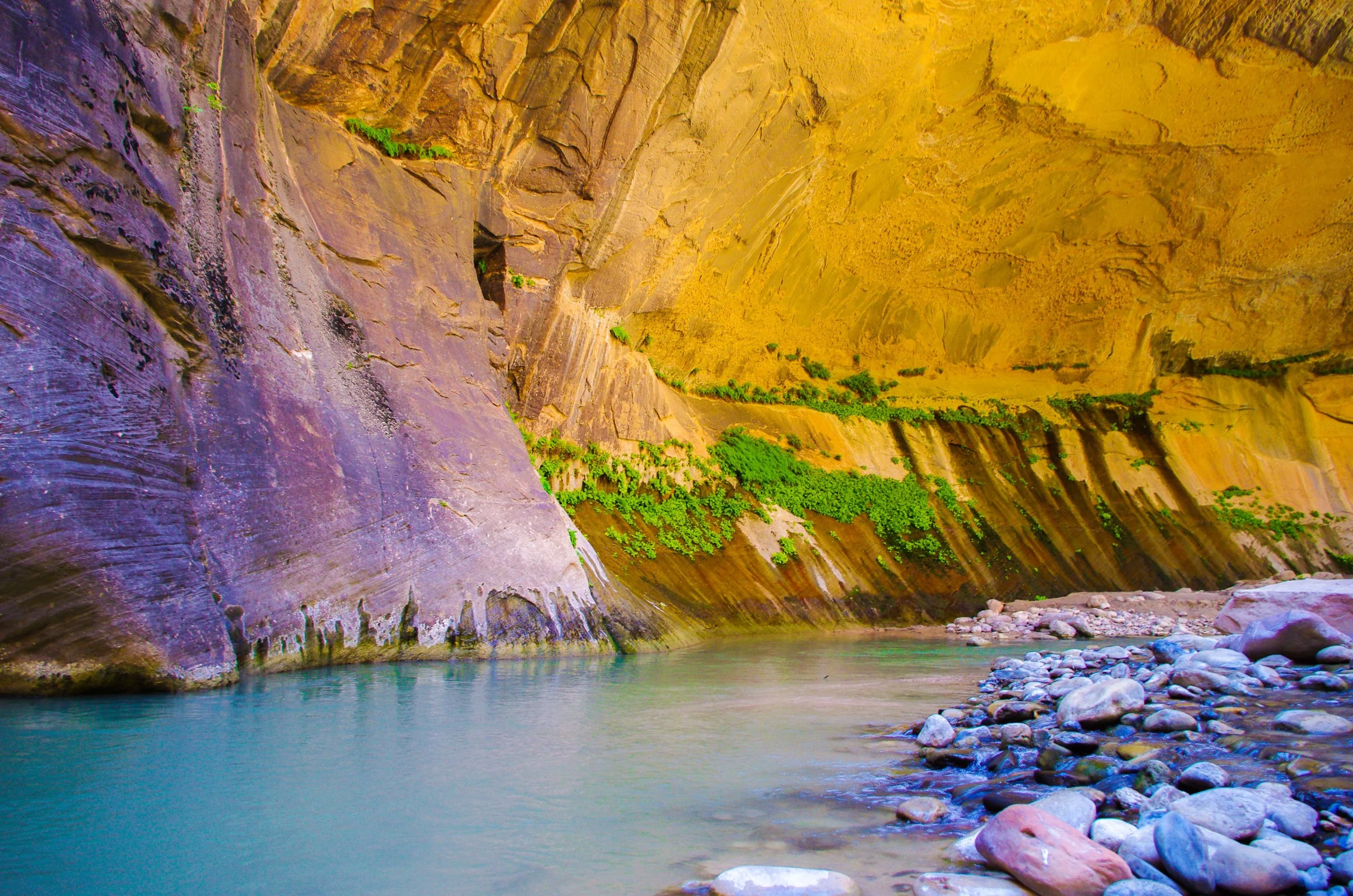 Inside the Narrows of the Virgin River, Zion National Park 2014