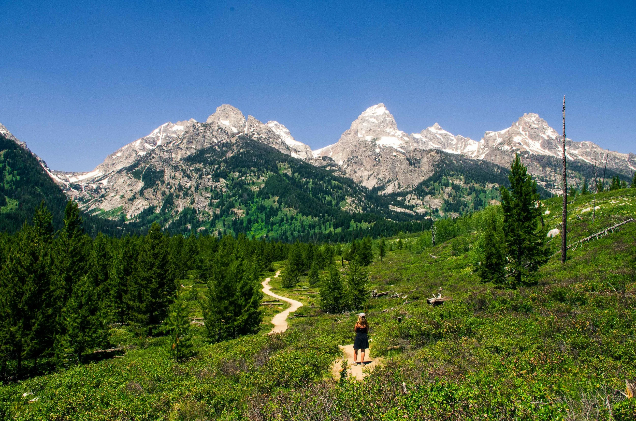 Taggart Lake Trail, Grand Teton National Park, 2014