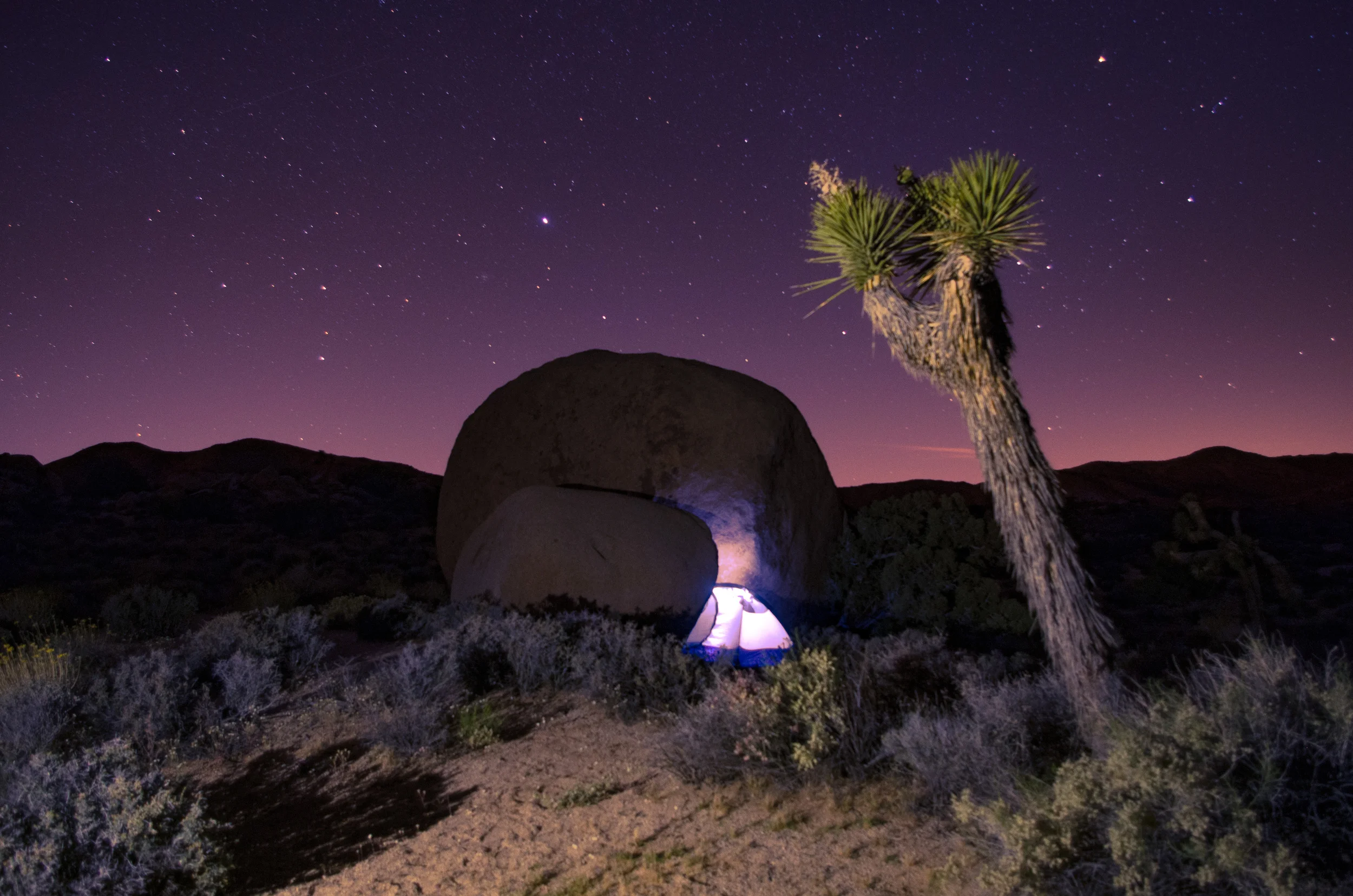 Joshua Tree National Park, 2016