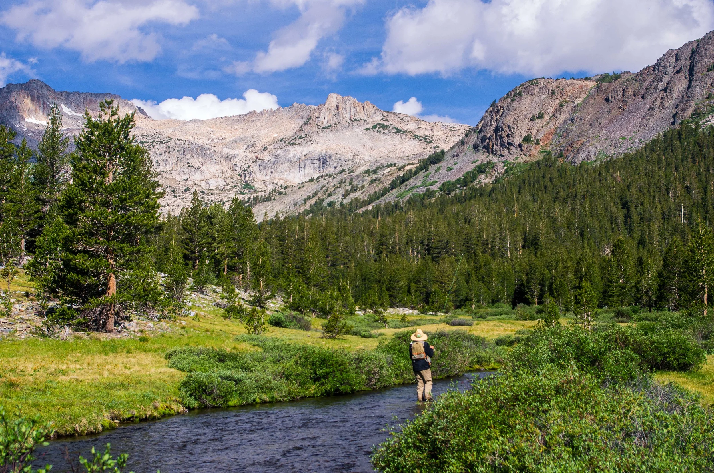 Lee Vining Creek, Mono County, CA 2015