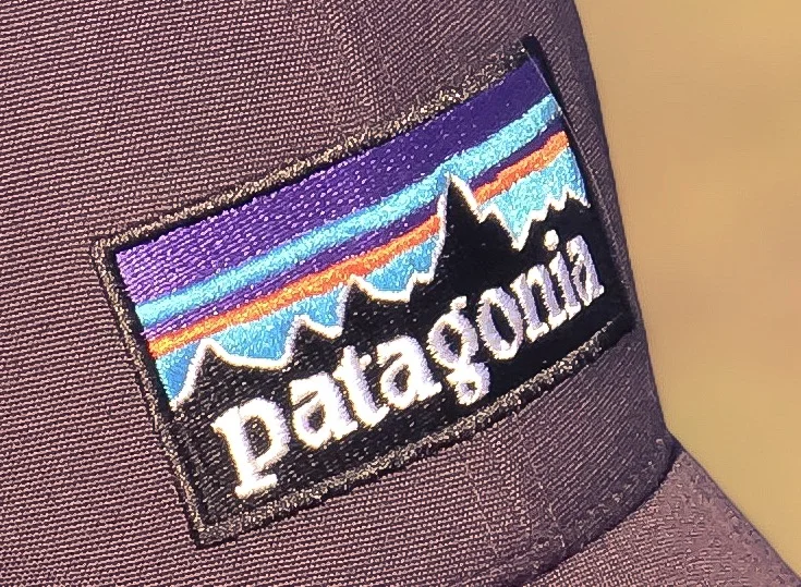 Patagonia is a leading advocate for capitalism’s capacity for good.