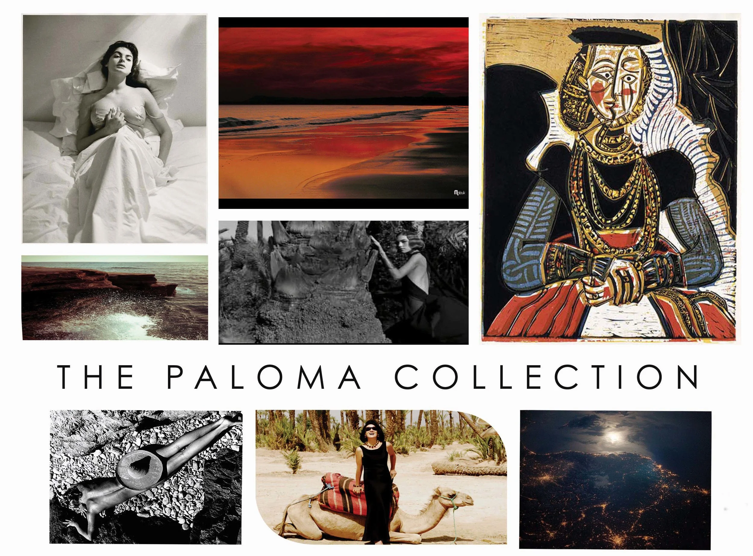 paloma moodboard .jpg