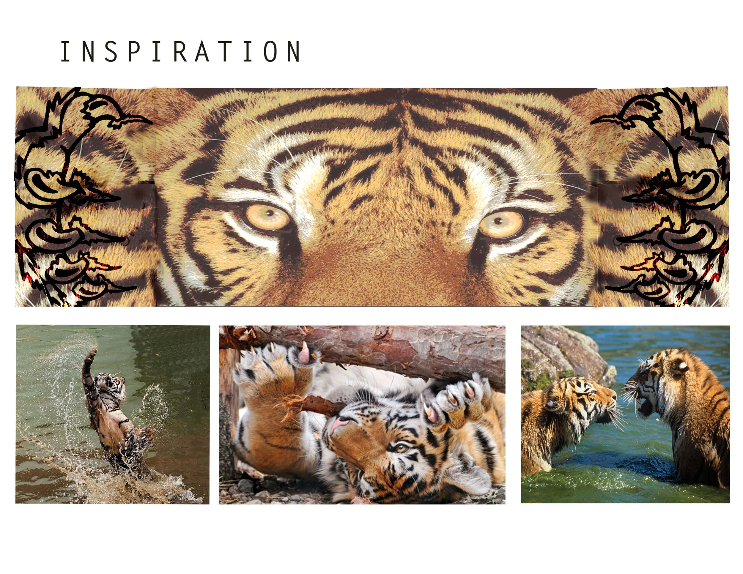 clawed moodboard.jpg