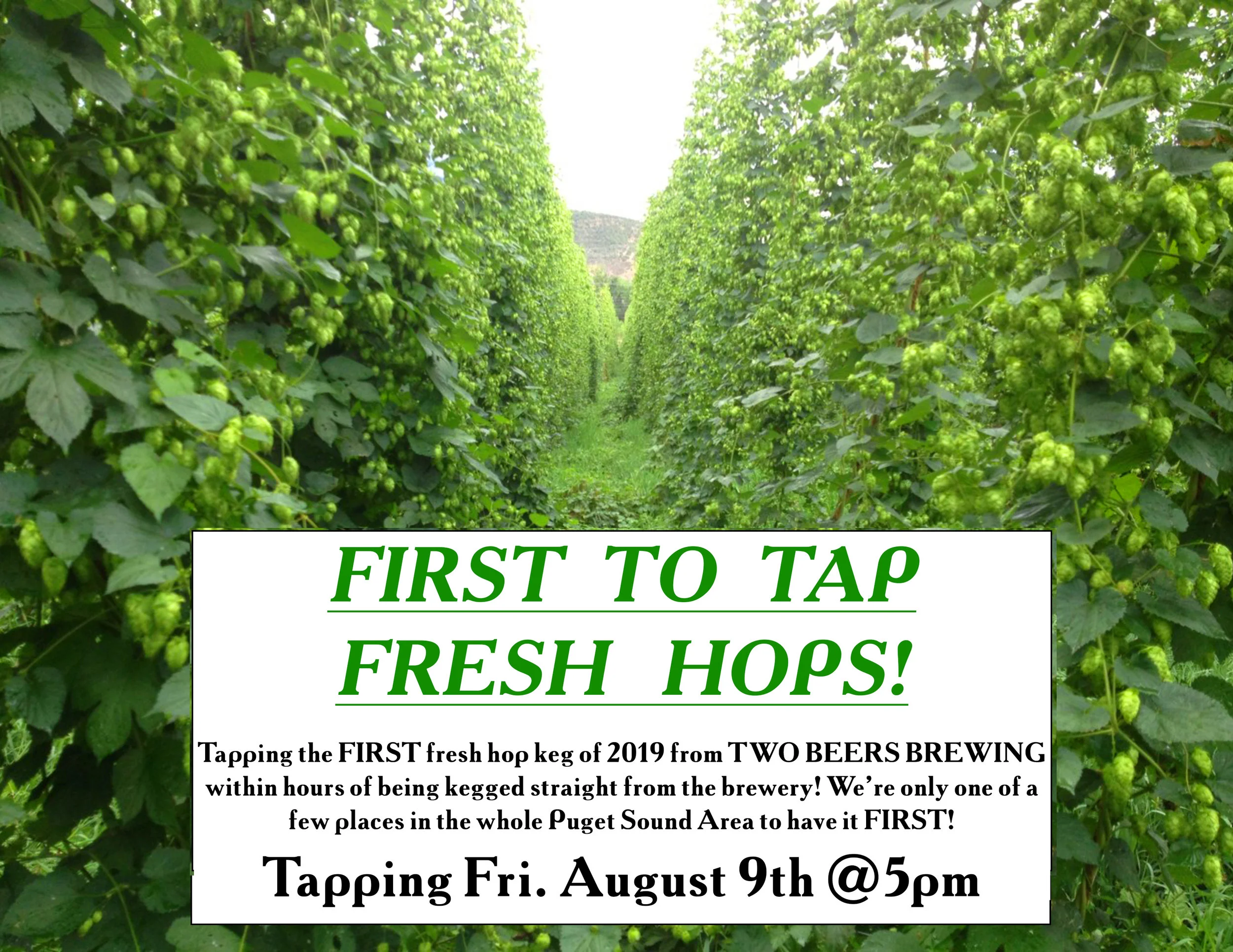 2019 Two Beers Fresh Hop Flyer.jpg