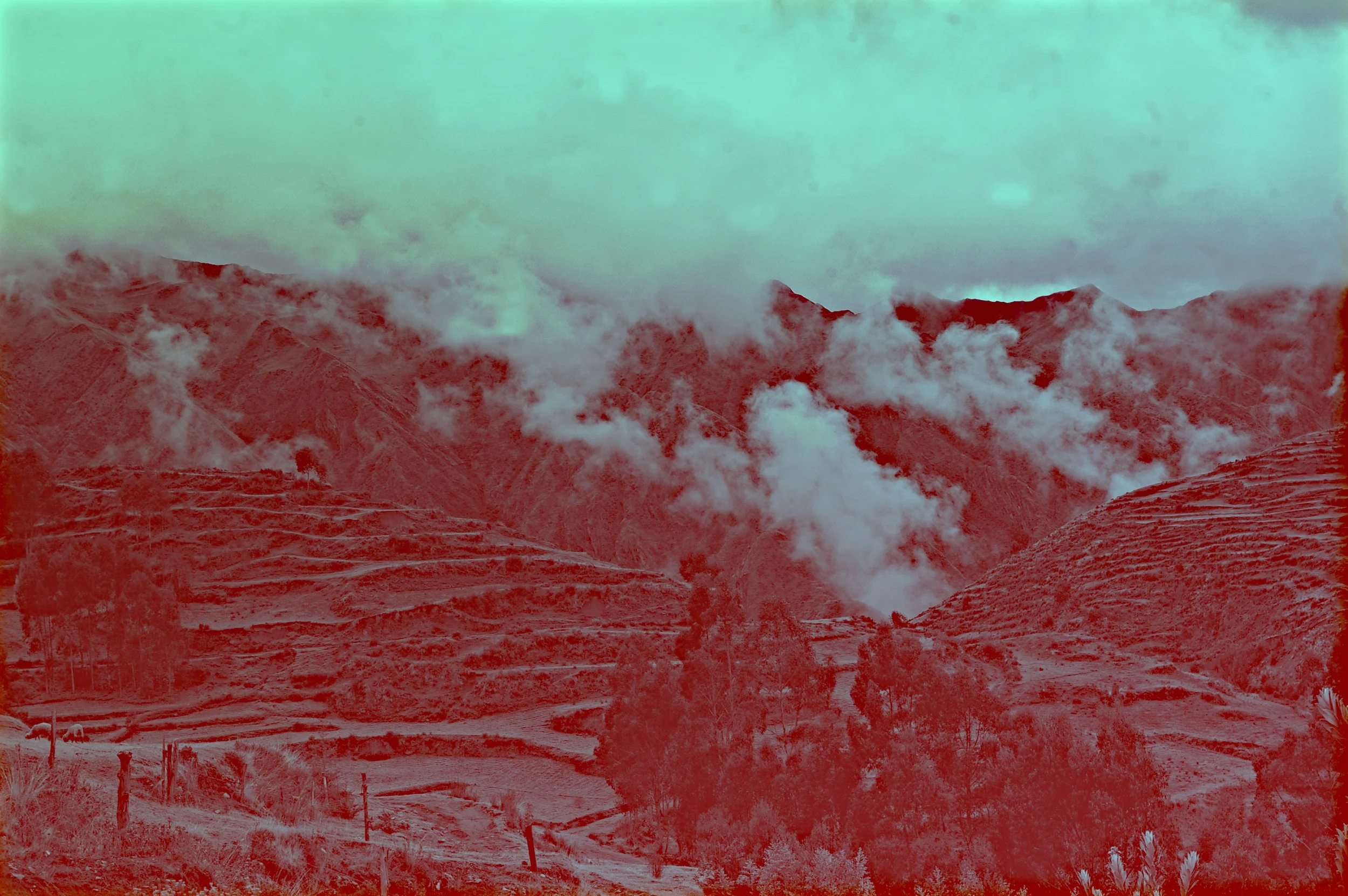 Fog copy.jpg