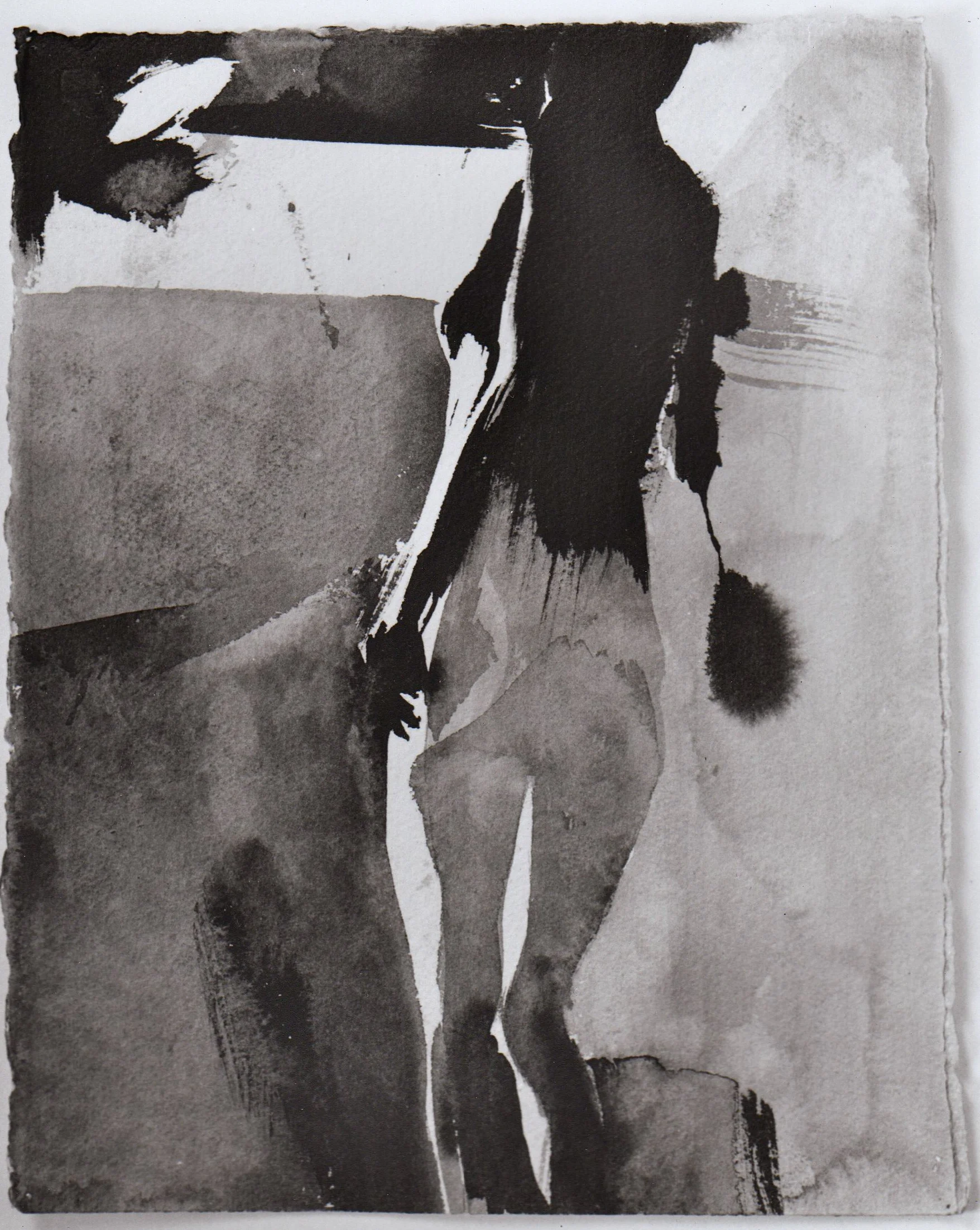 15” x 11” Japanese Sumi Ink, Heavy weight paper