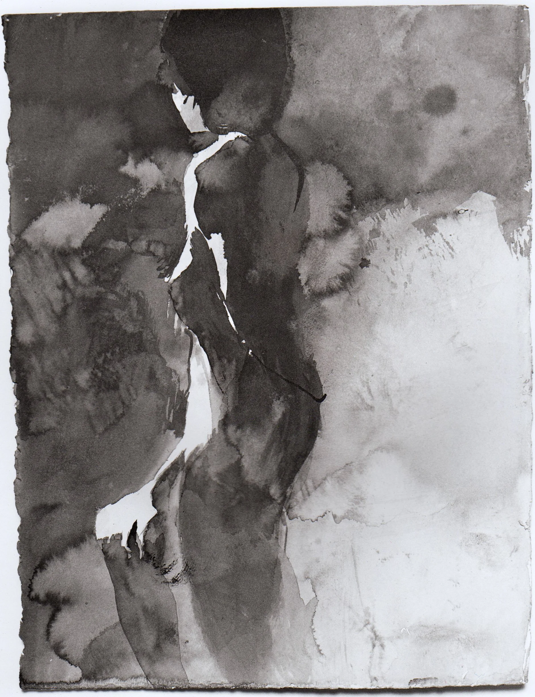  15” x 11”  Japanese Sumi Ink, Heavy weight paper 