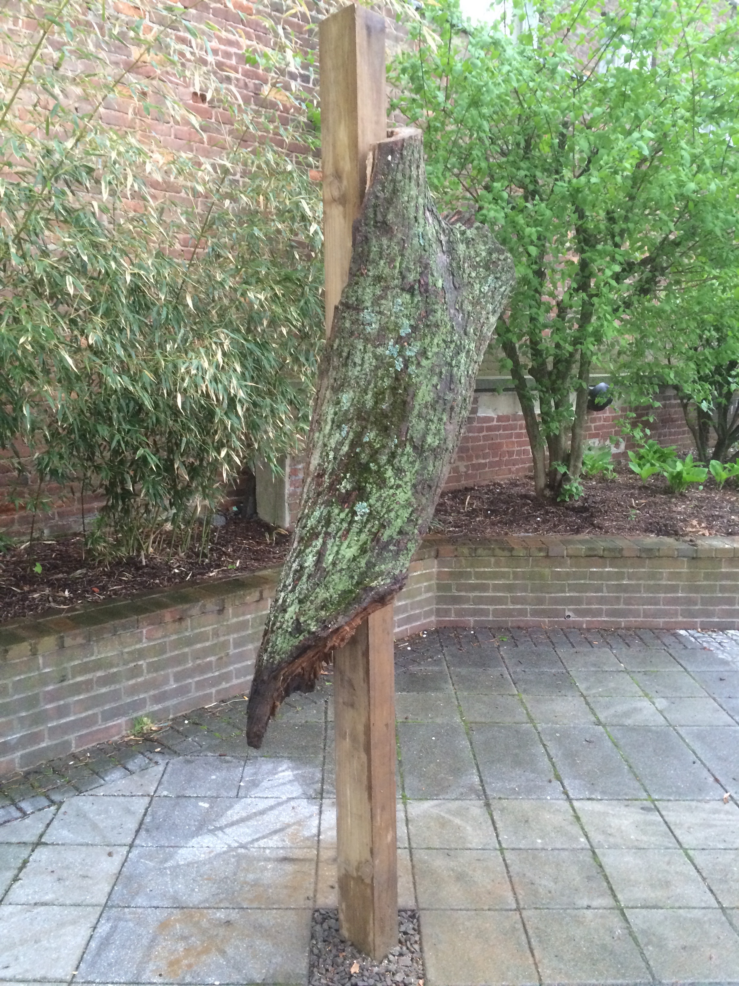 PUBLIC ART: MATT KINNEY: HIDES at Pelham Art Center May 6 - August 27, 2016