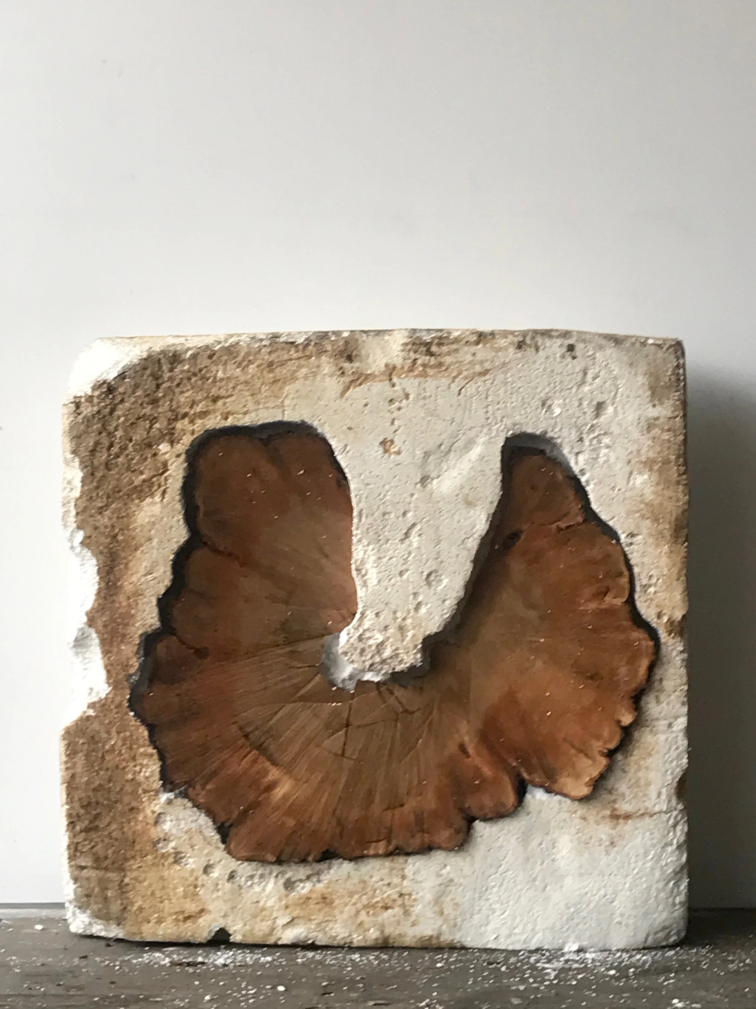 5th 2017 ARTSLANT PRIZE SHOWCASE WINNER