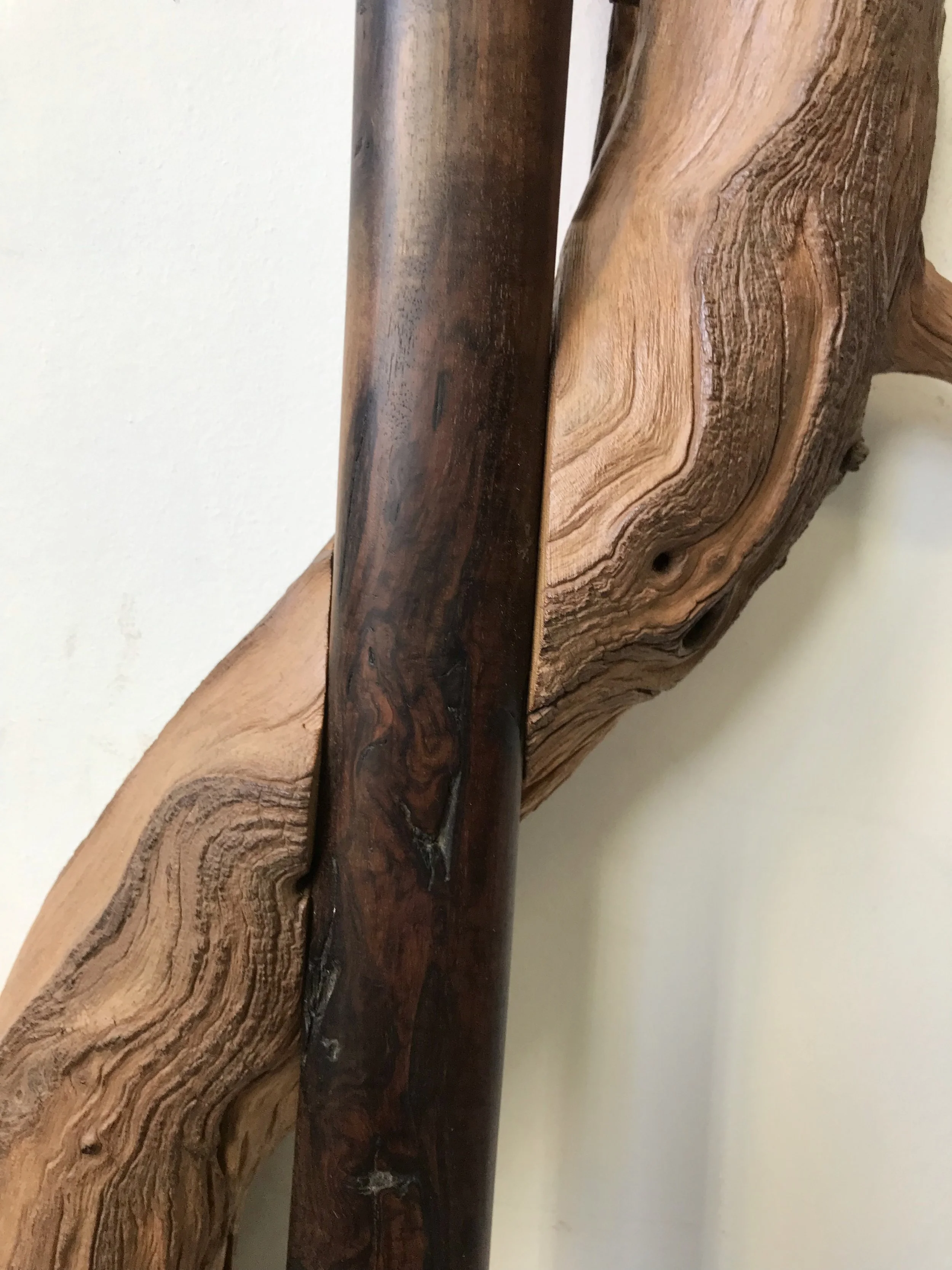 IMG_4756.jpg