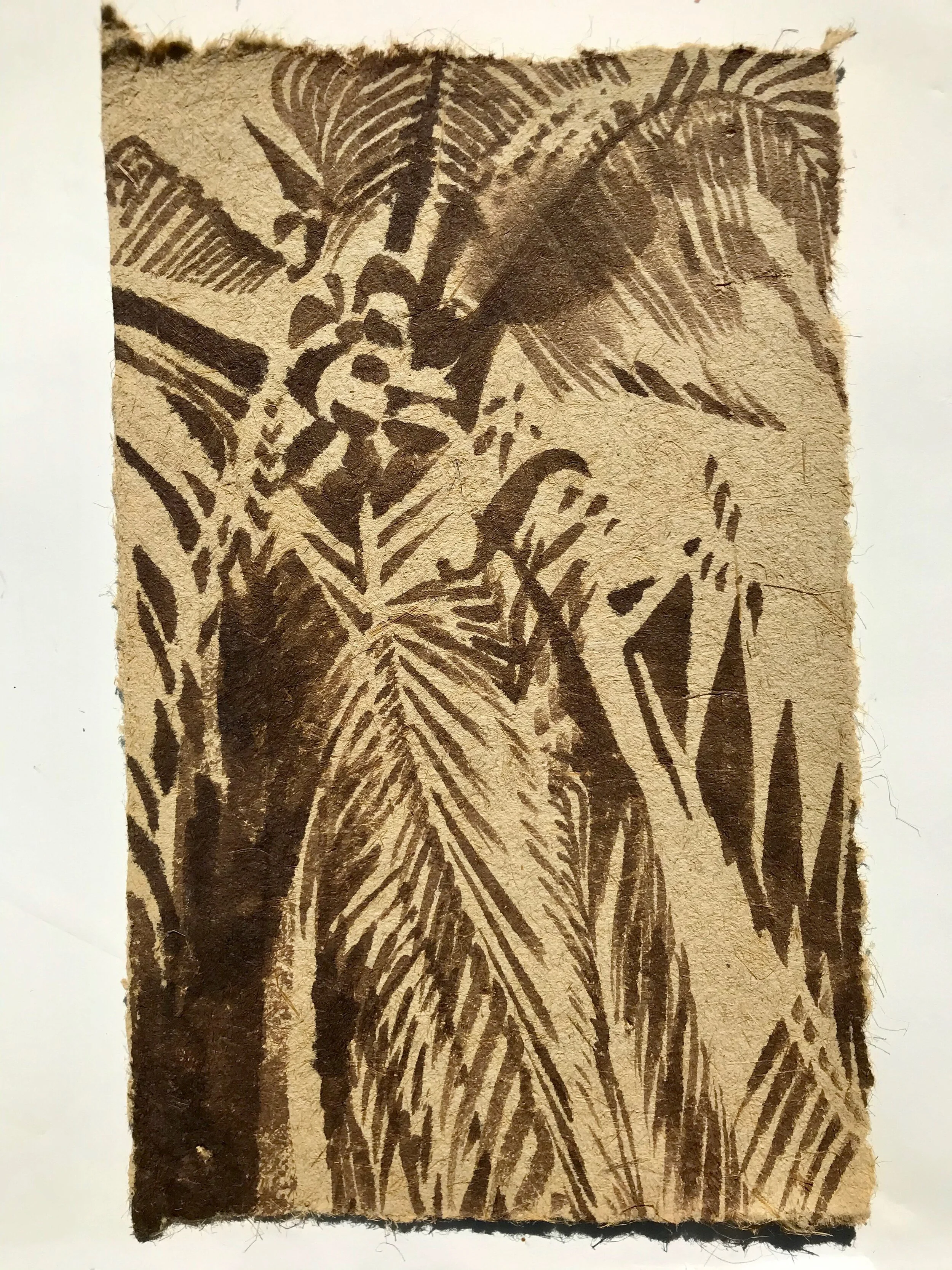 Nature 6, Palm Tree