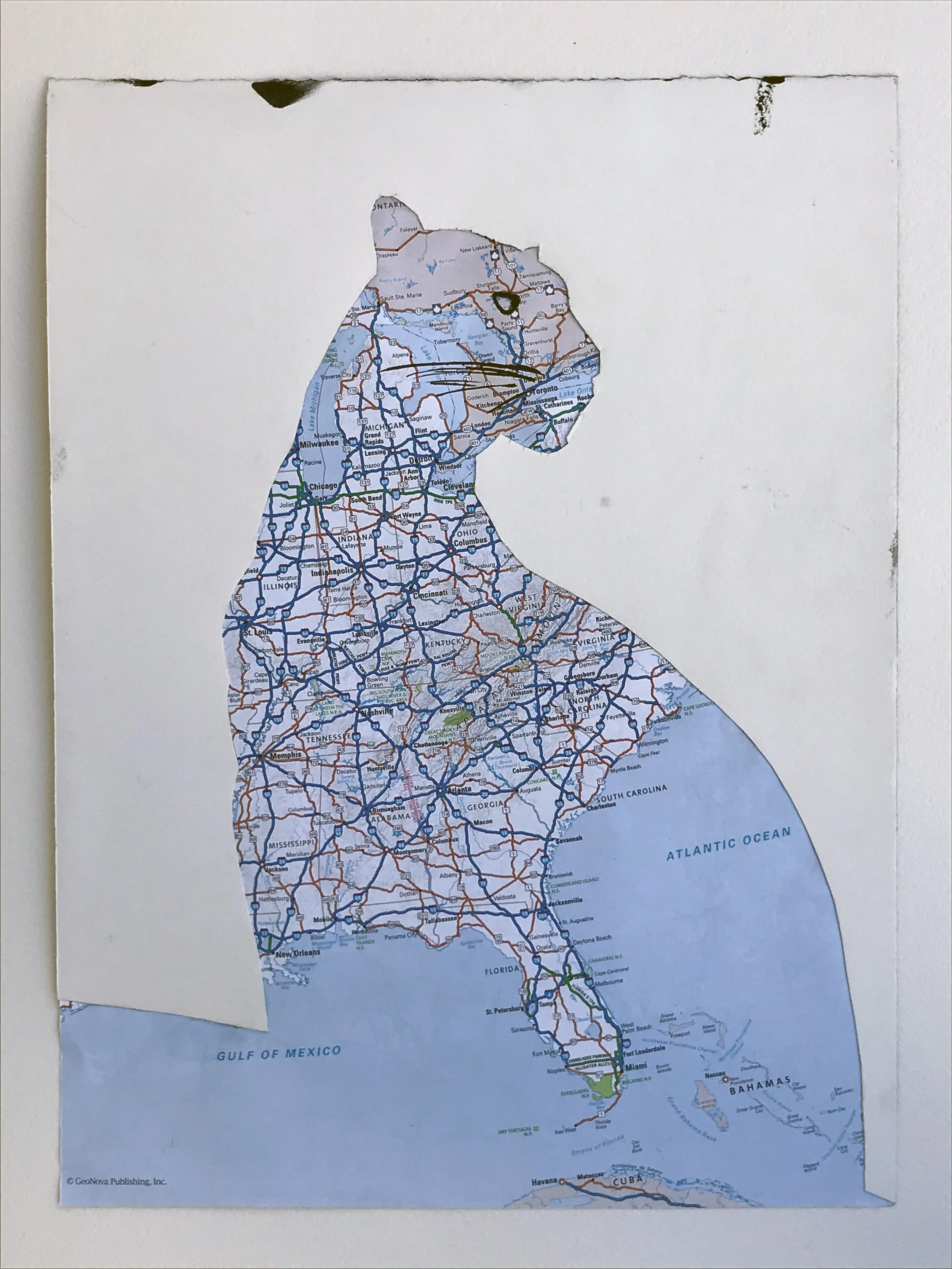 Critically Endangered (Panther)