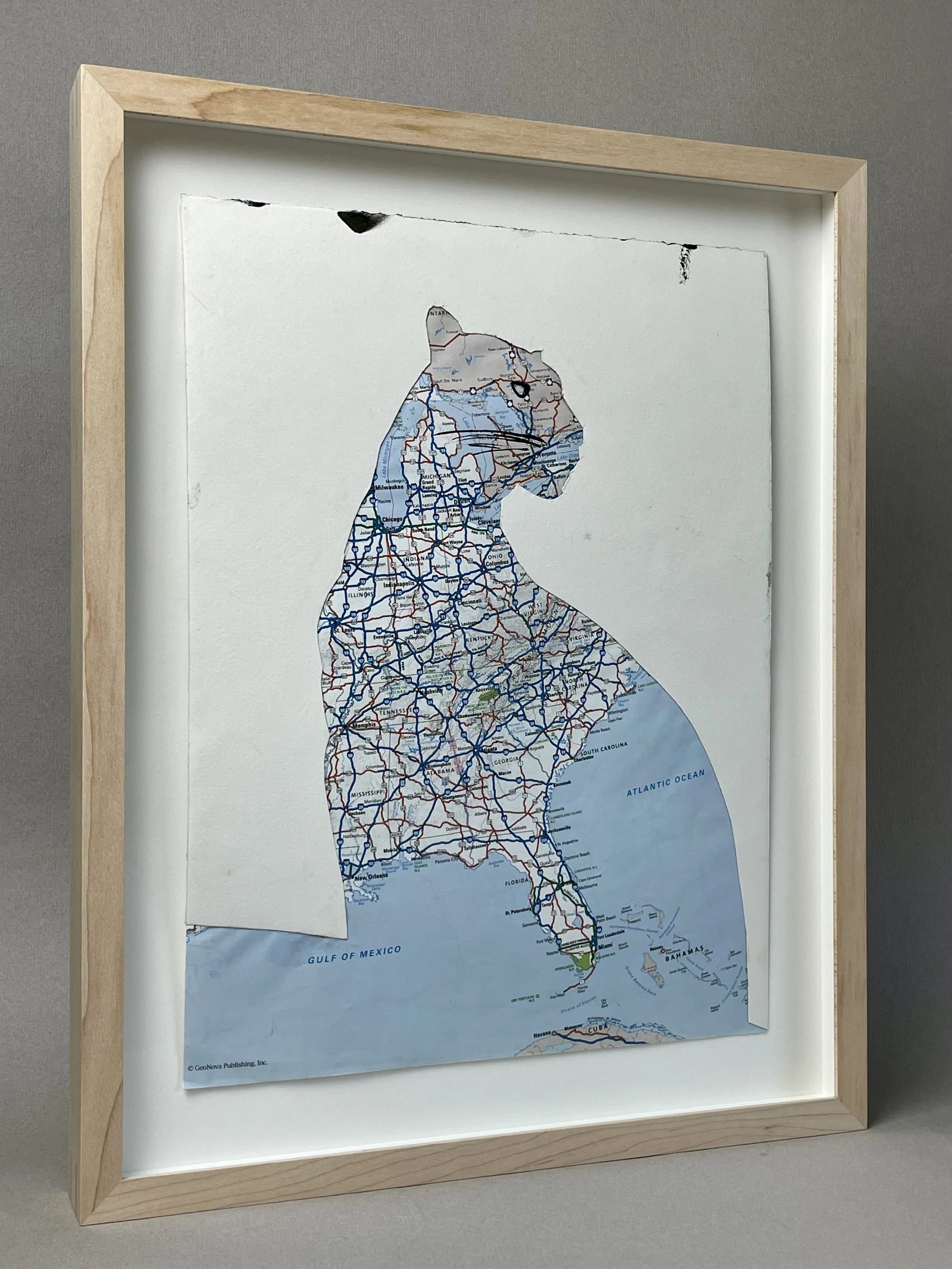 Critically Endangered (Panther) 