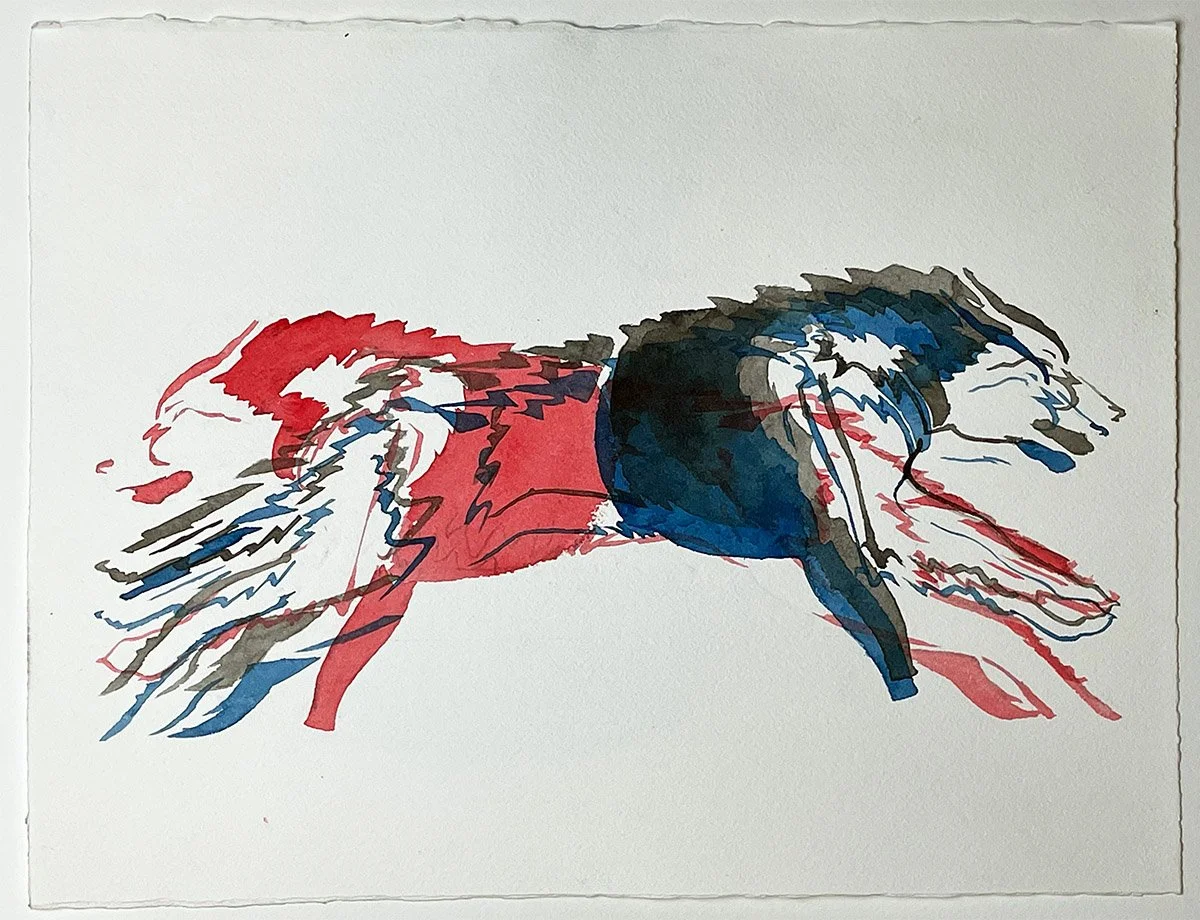 Animal54_1200.jpg