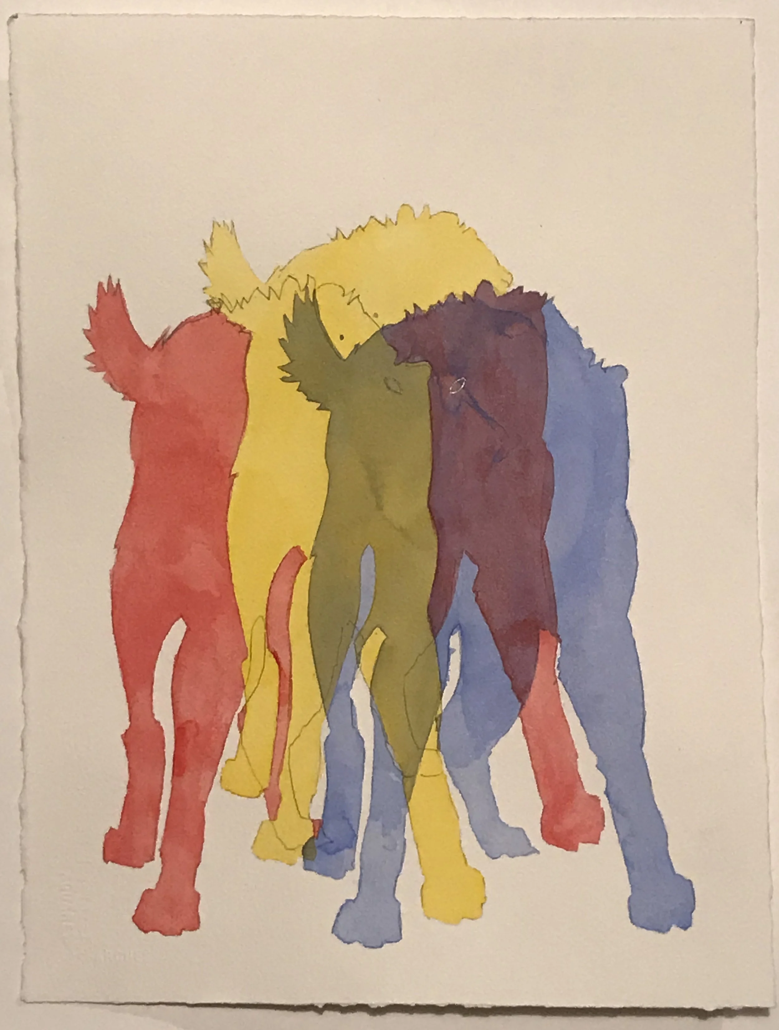 Kinney-Matthew-Wolves copy 2.jpg