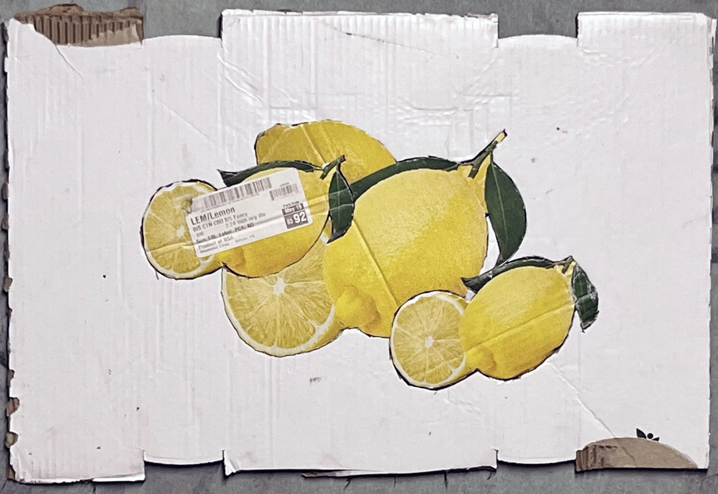 lemonsA.jpg