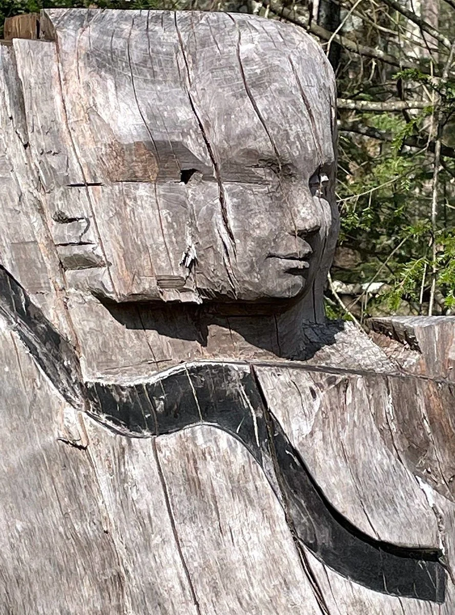 Dryad_view1_62 x22inches_diameter.JPG