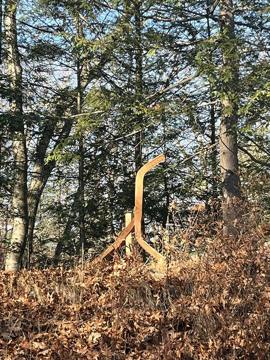 1200x900Edited tree limb afar.jpg