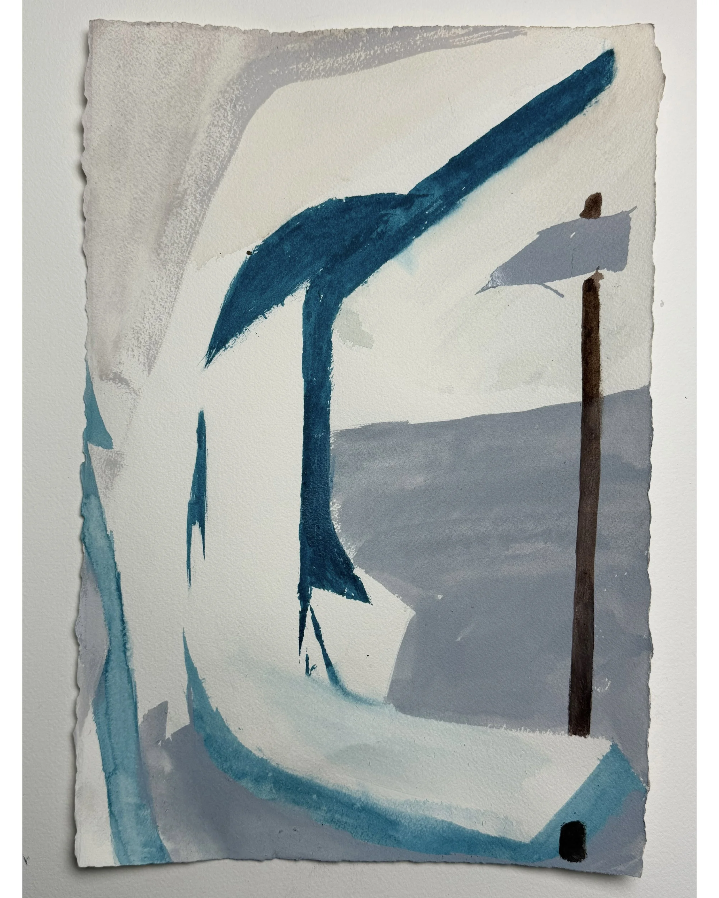  2026  watercolor paint, 140 lb. cold press paper  15 × 10 in. (39 × 26 cm) 