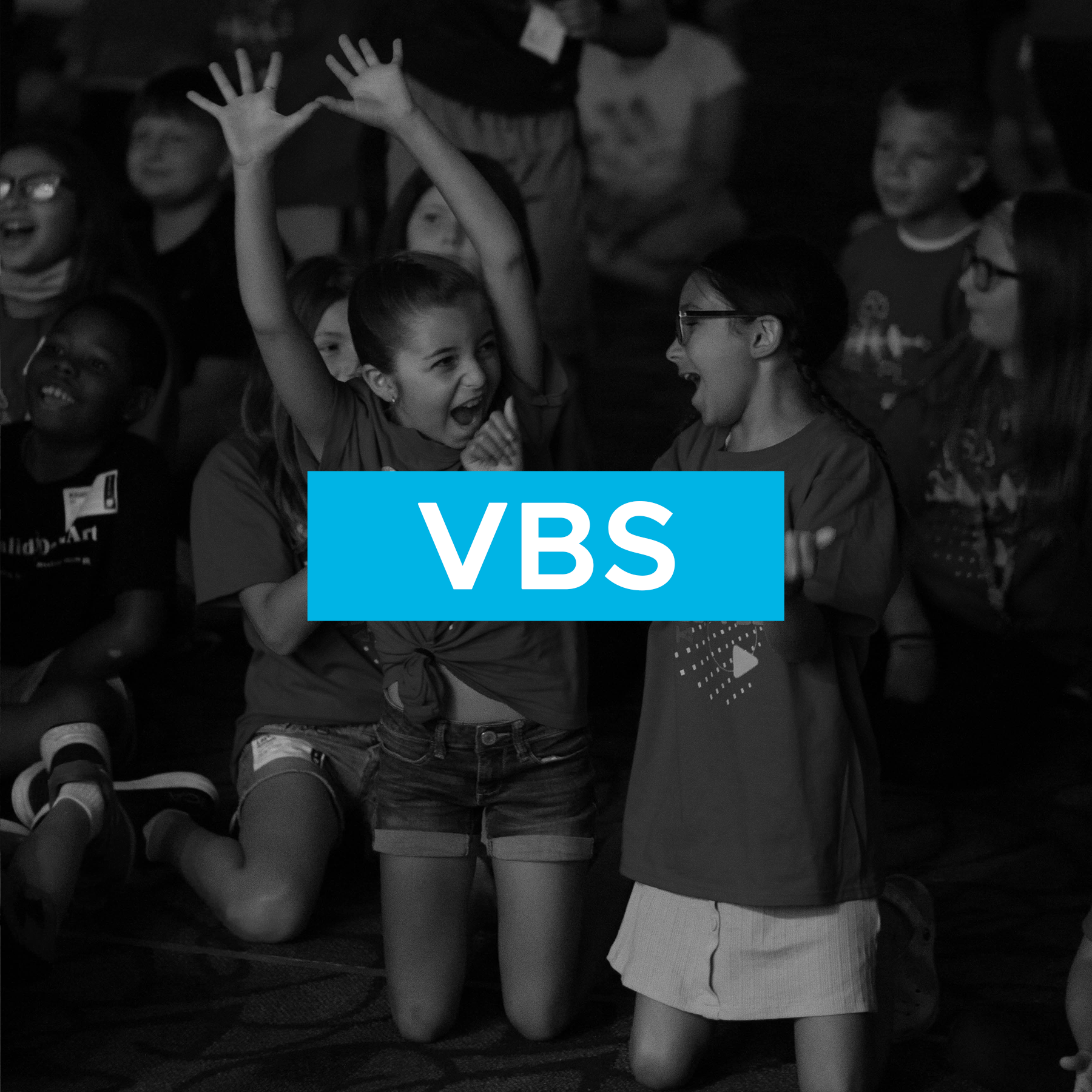 vbs.png