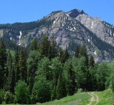 Mystery Show, Revealed in April!