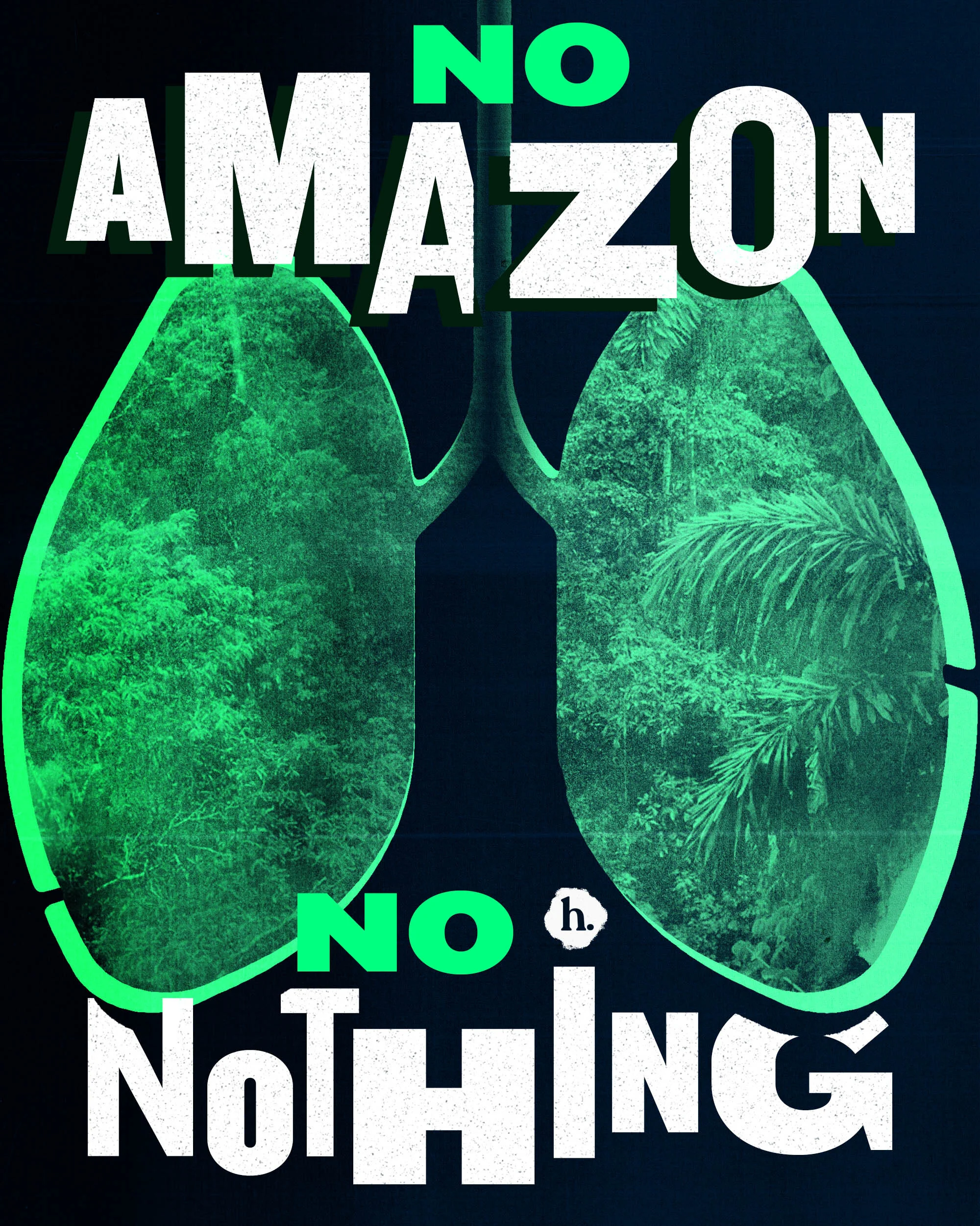 Amazonas copia.jpg