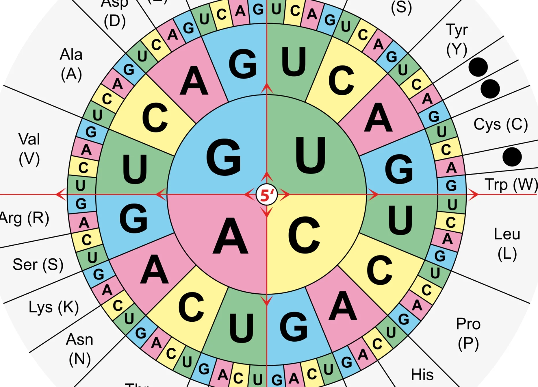 ch1fig12 web 1.jpg