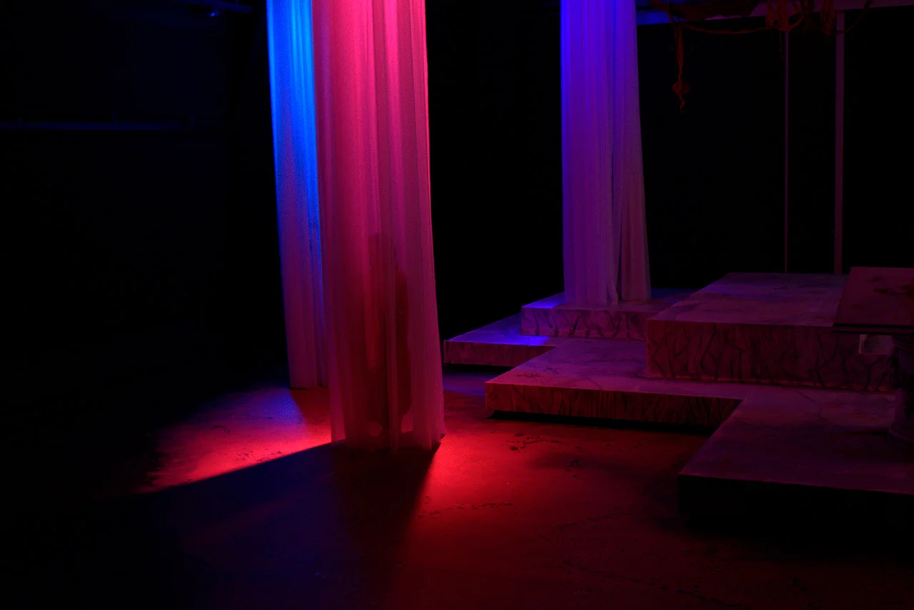 DSC_0015_preview-1.jpg
