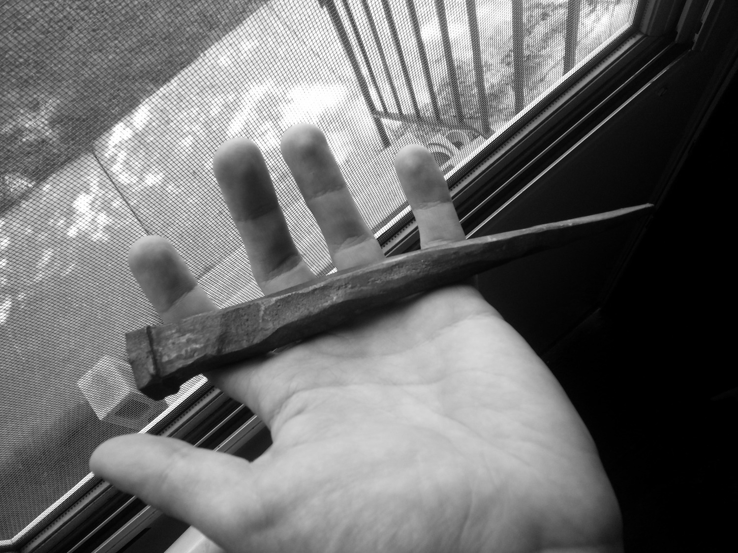 Hand Forged Nail